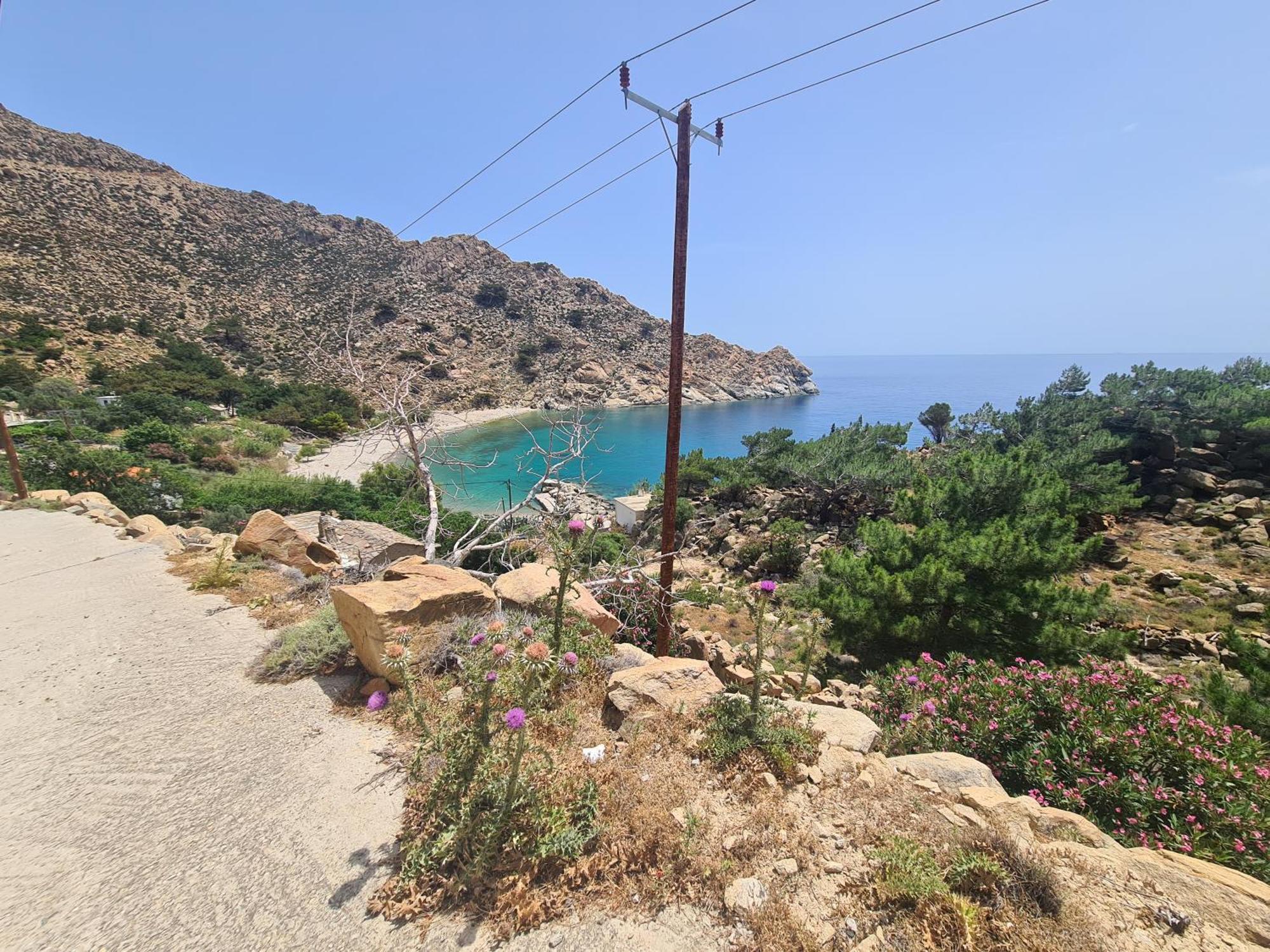 Spitikariotiko Ikarian * Raches (Ikaria)