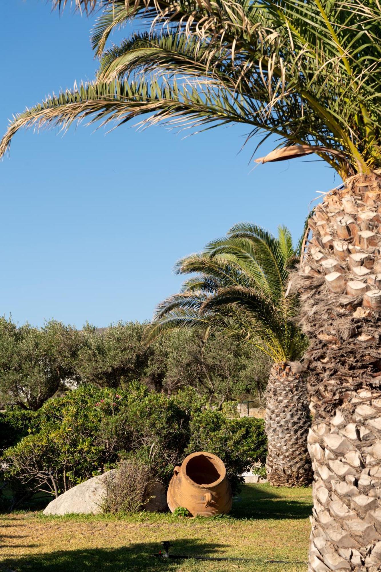 Swiss 3* Naousa (Paros)