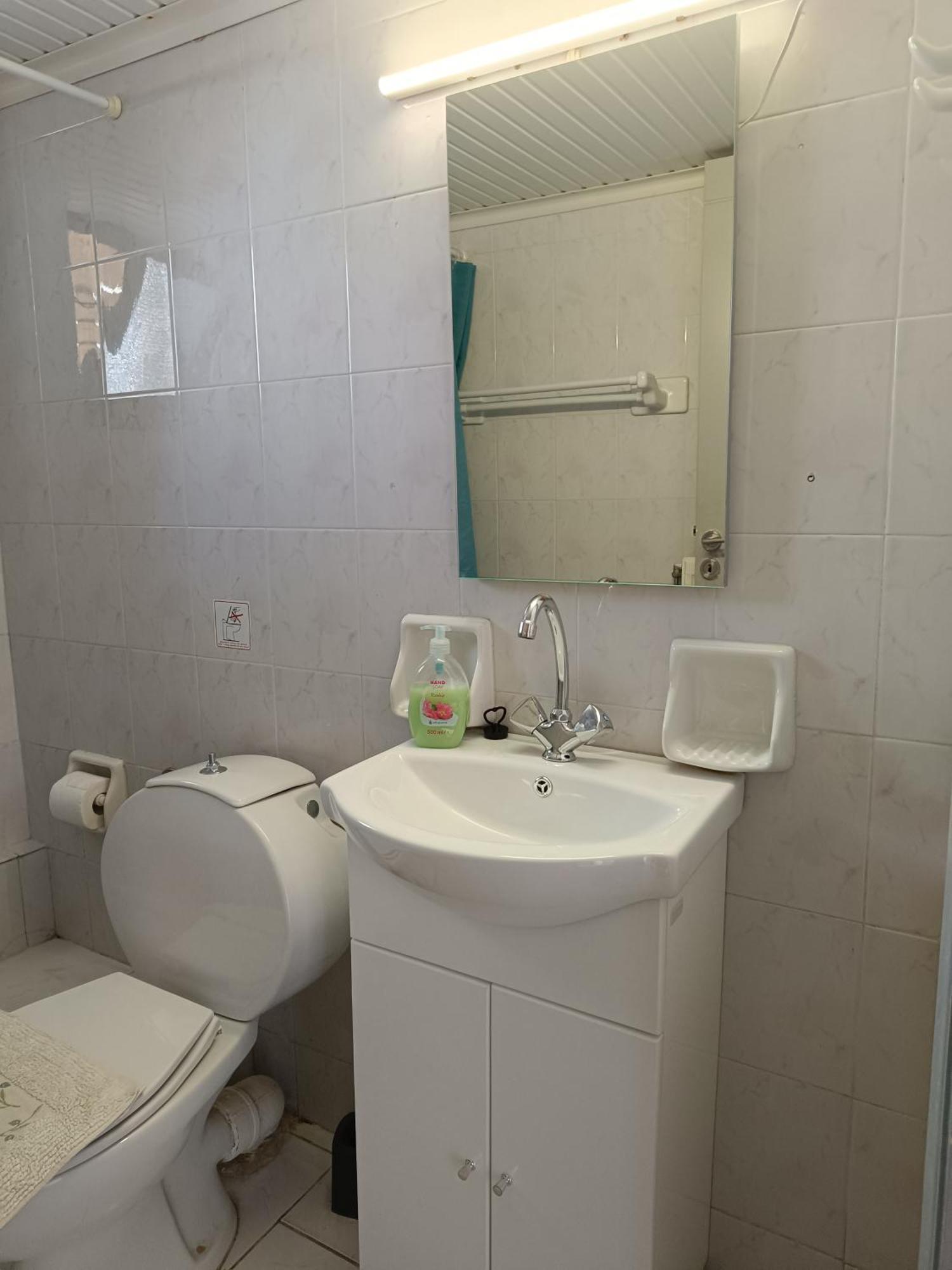 Apartment Manos Kalamaki (Chania)