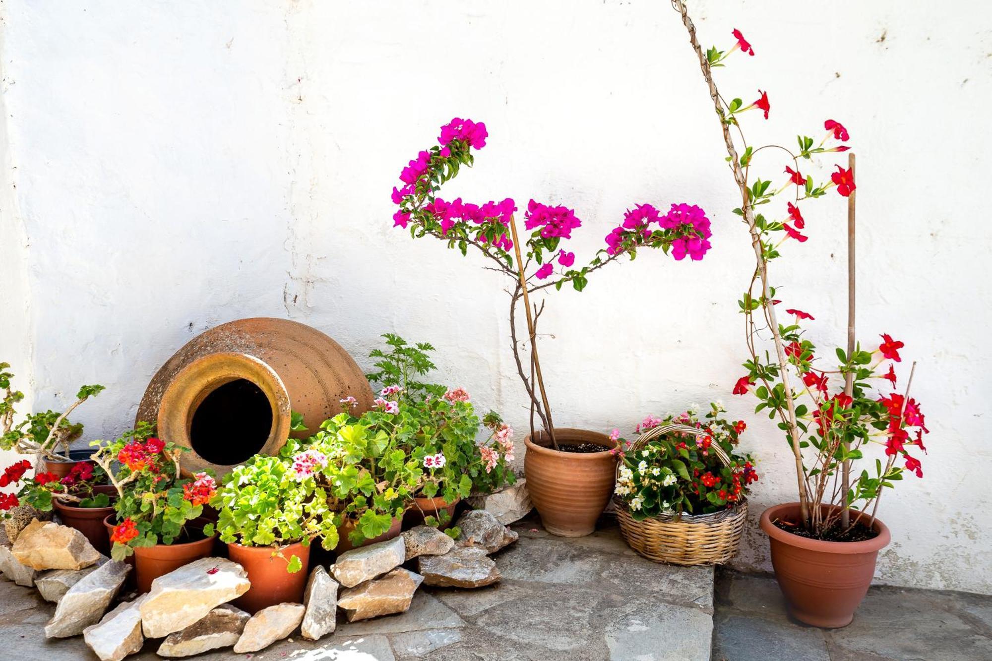 Holiday home Cozy Traditional House In Thassos, Kallirachi *