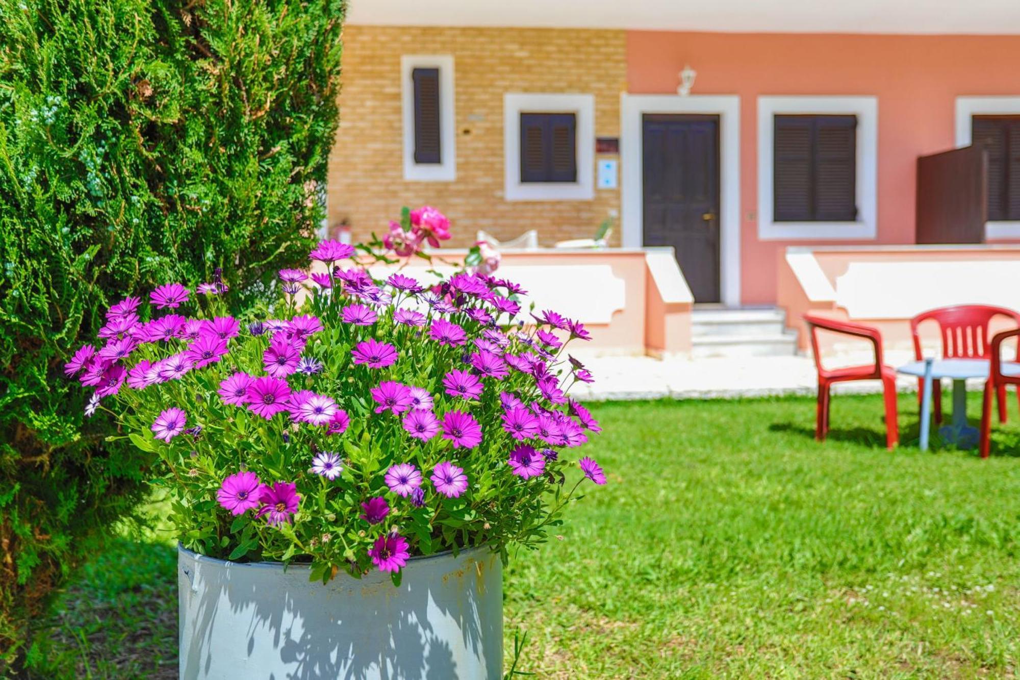 Amarylis Apartment Almiros Beach