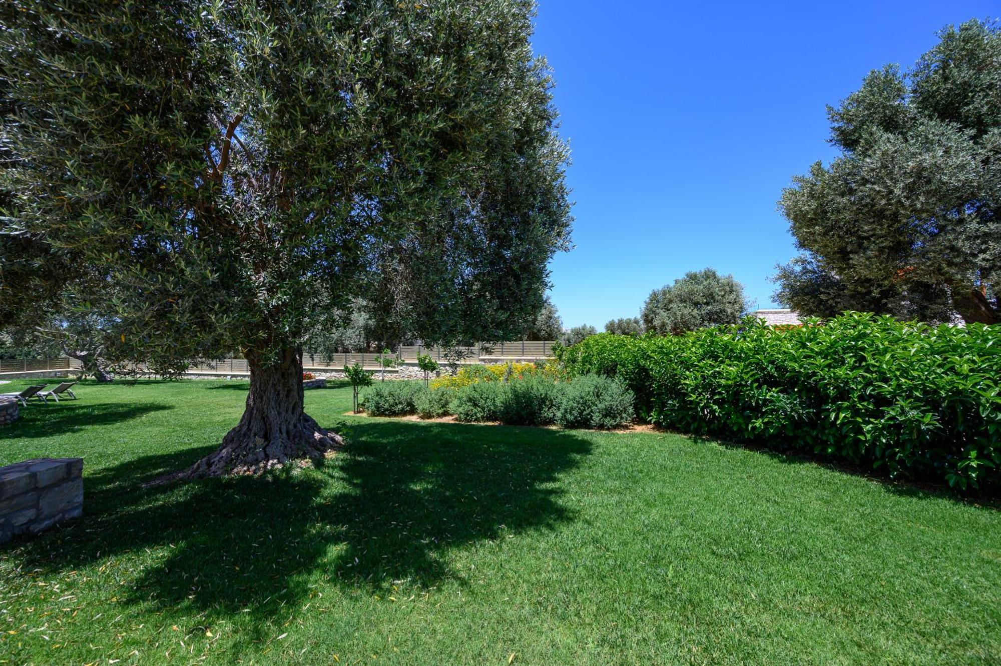 Villa Thyme Prinos (Crete)