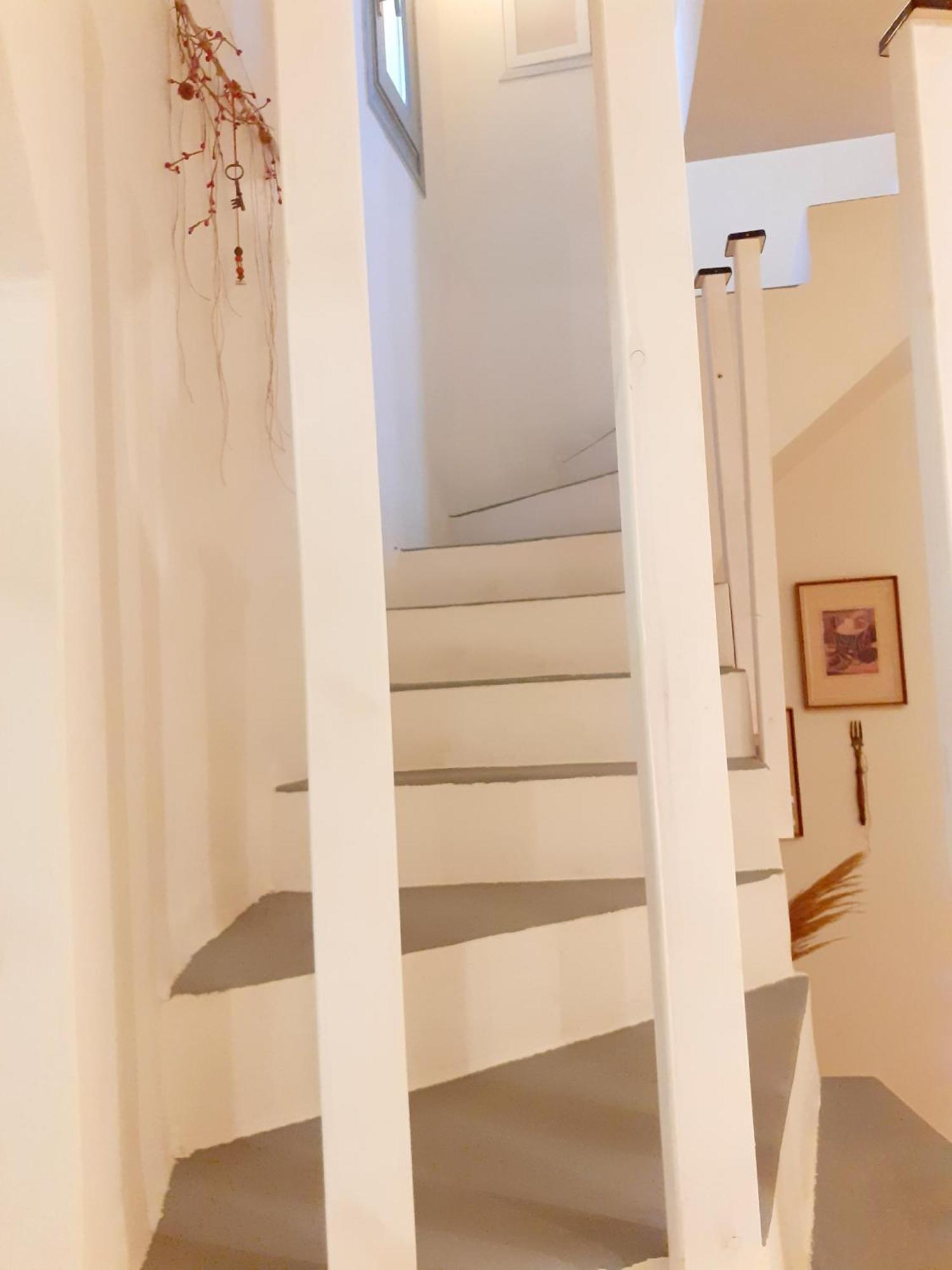 M.houses1 *