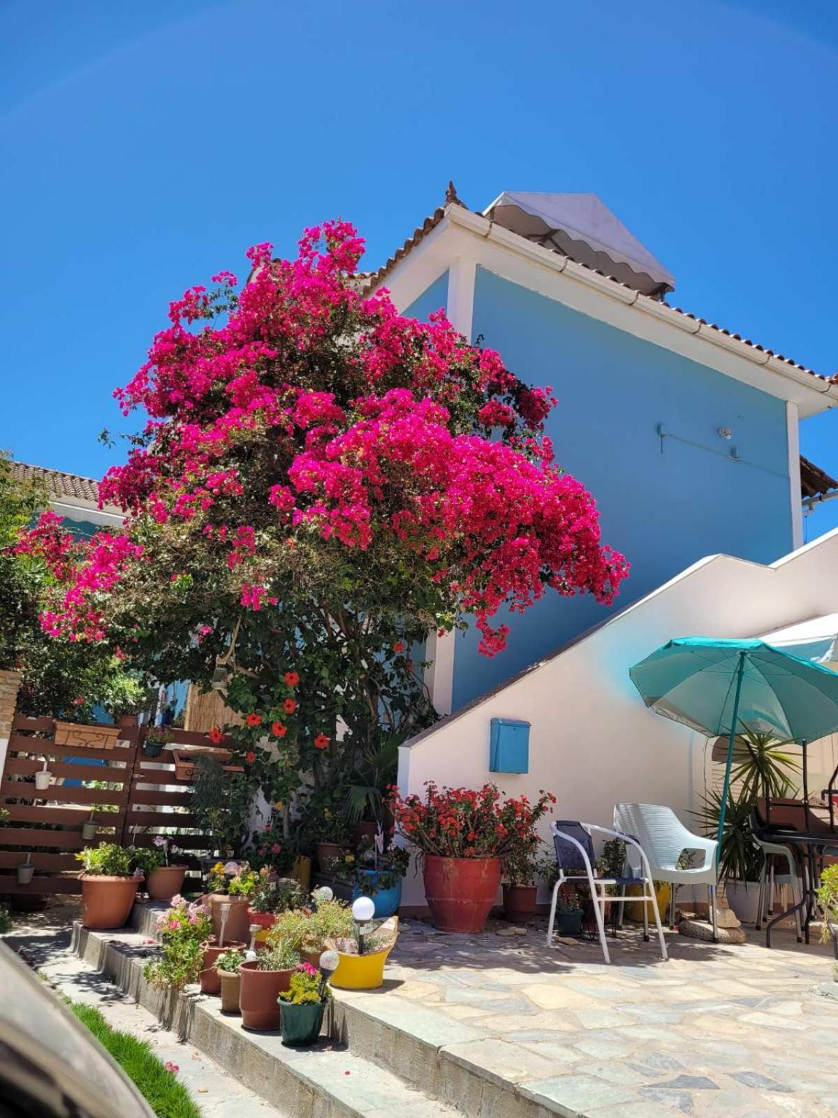 Helen Apartment Planos (Zakynthos)