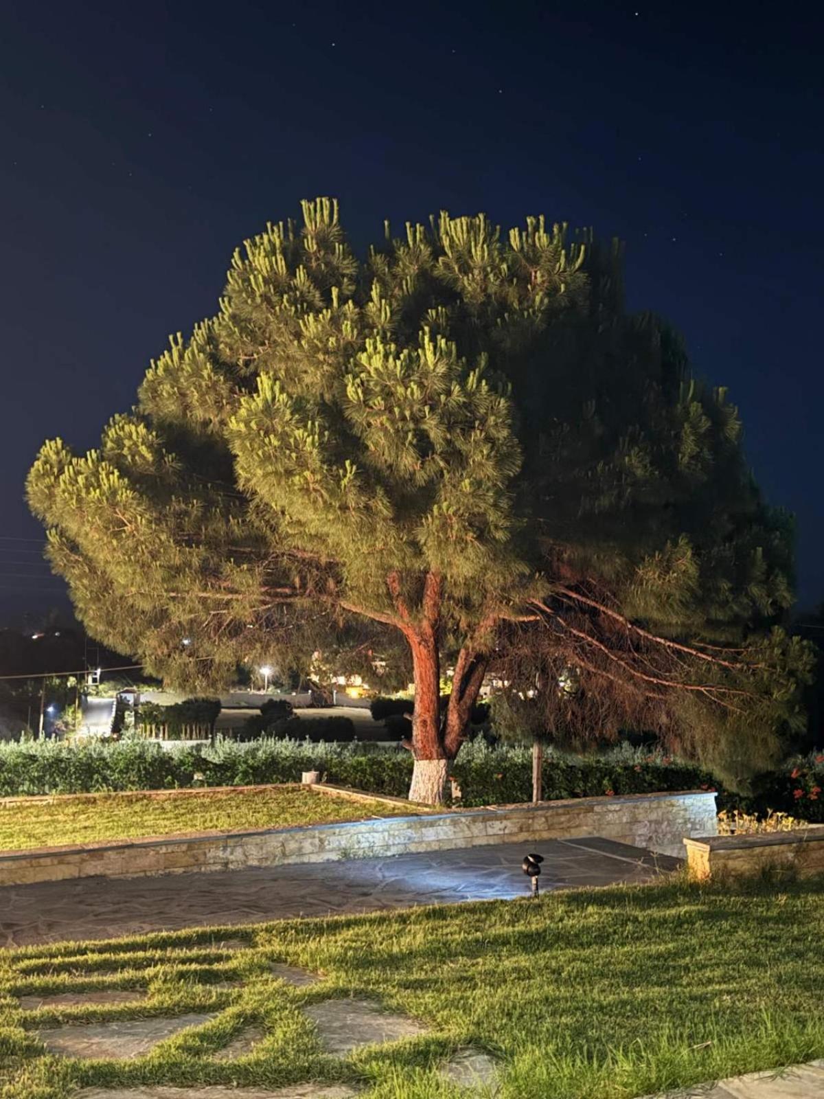 Stadi Villa