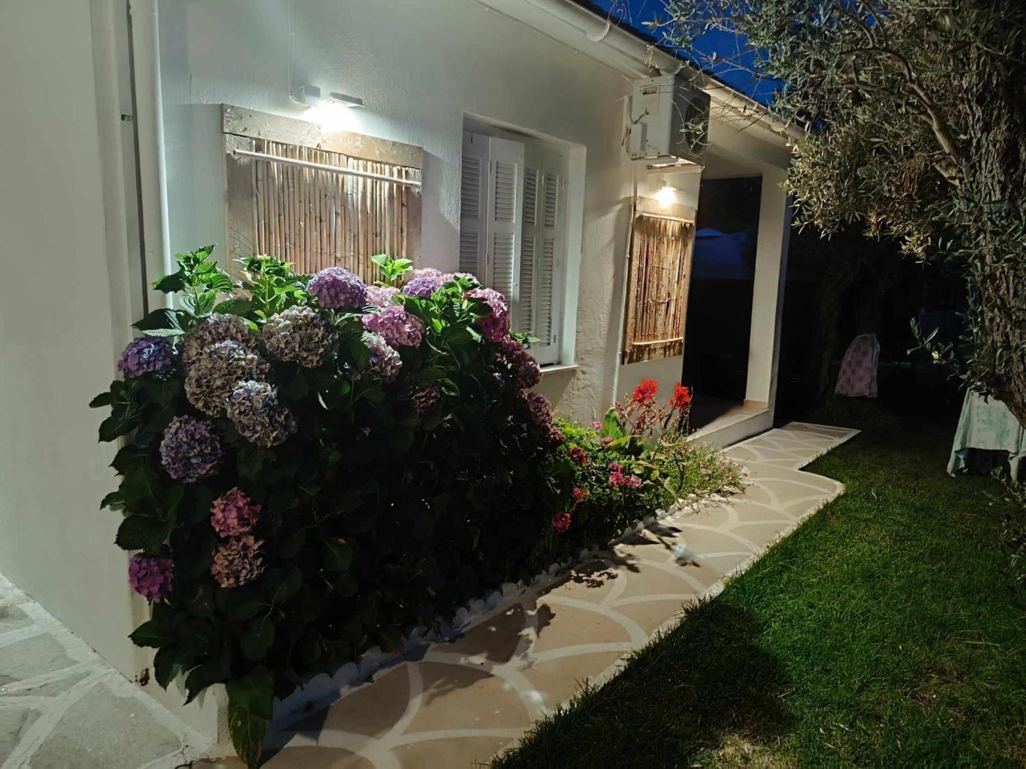 Salty Seashells Holiday home Skiathos Town
