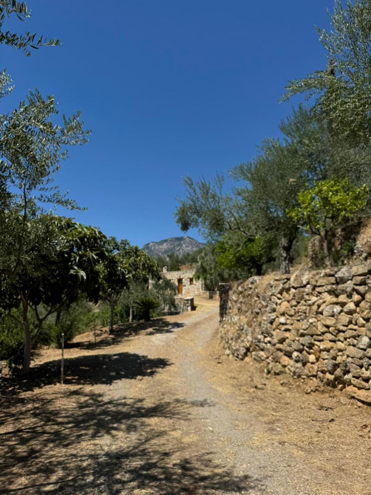 Kalamata Natural Stone Seaview Sanctuary Megali Mantineia