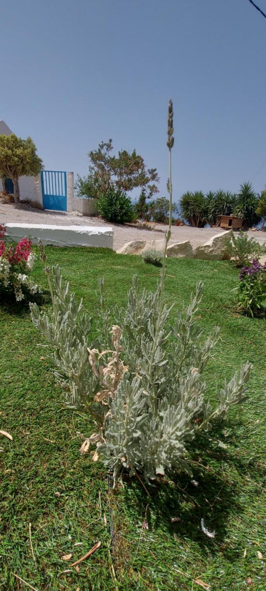 Holiday home Iasmos *
