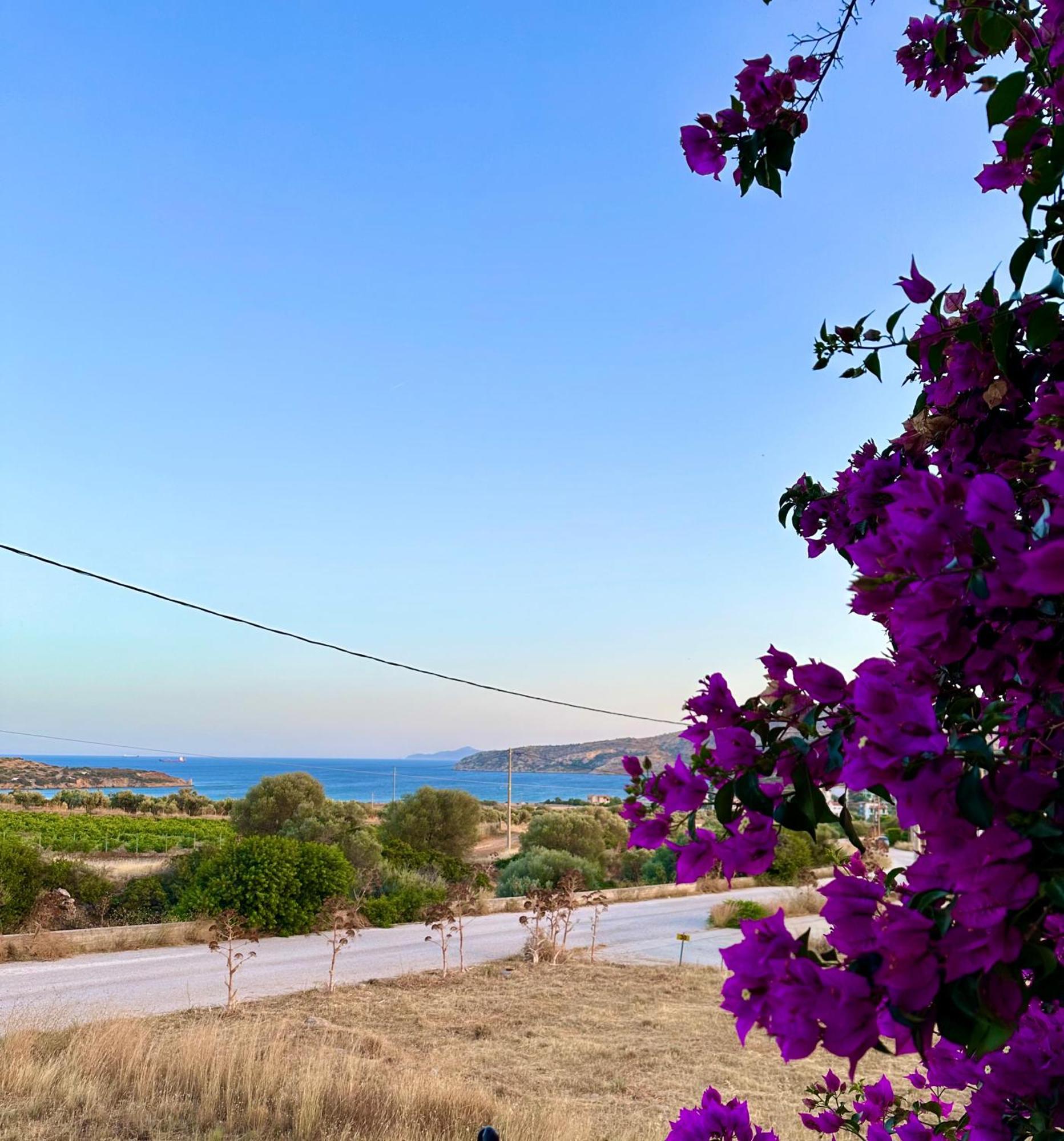 Kallitheas Seaview