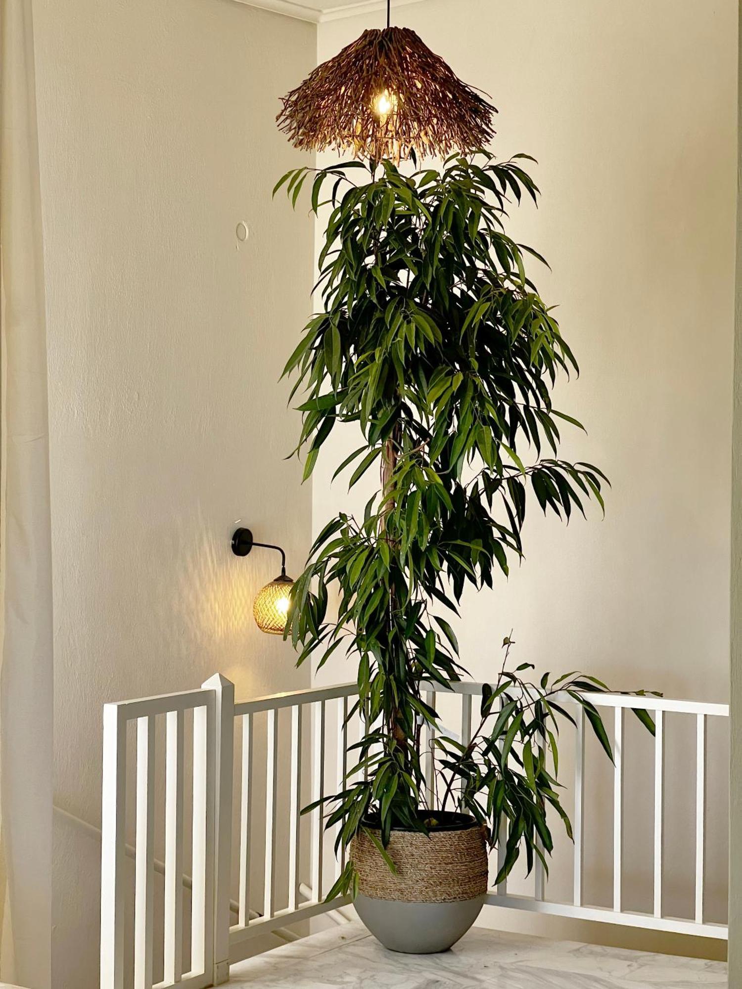 Villa Korifi By Halu!, With Sea View Skiathos Town