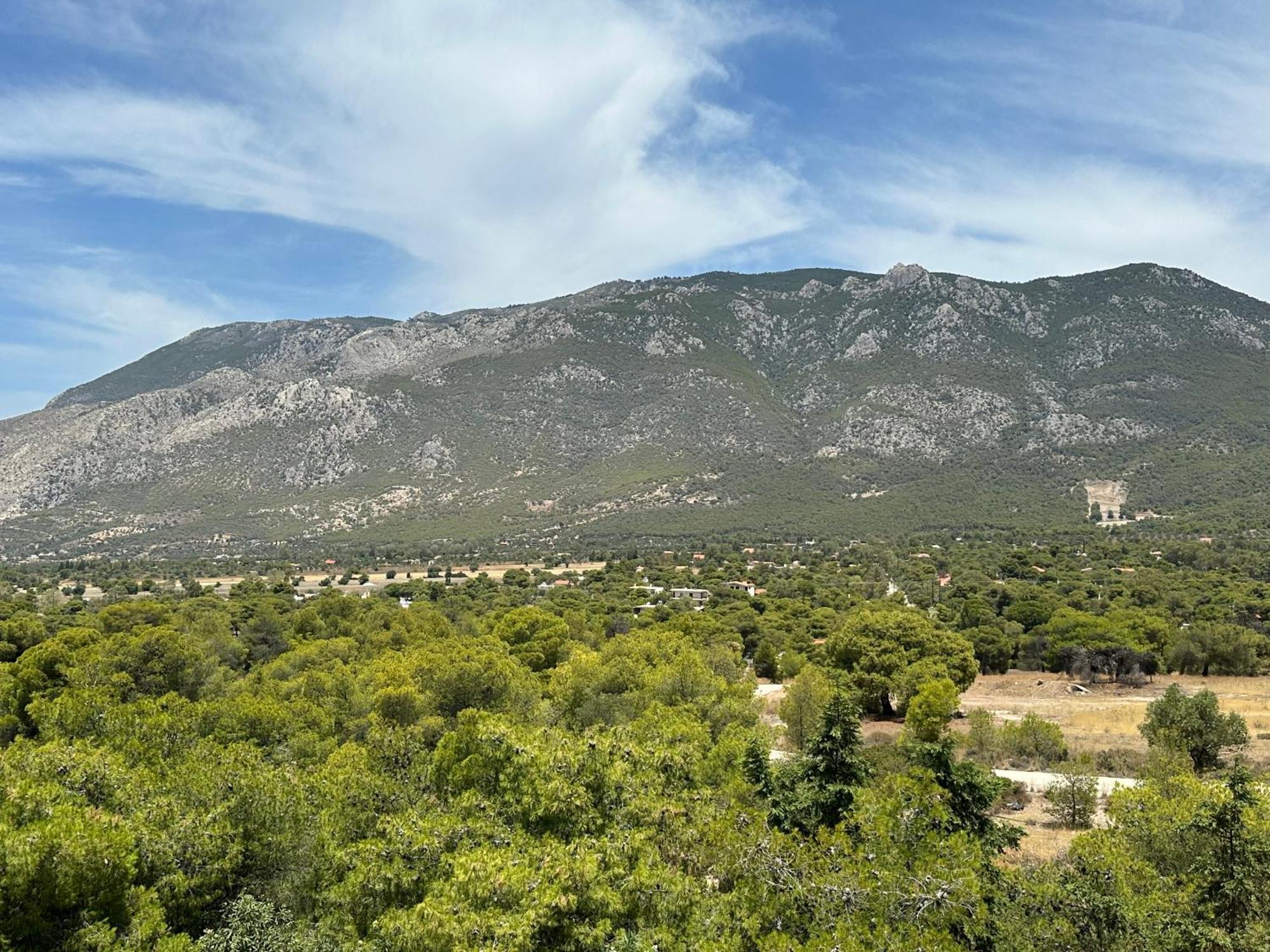 Apartment New Horizons Corinth