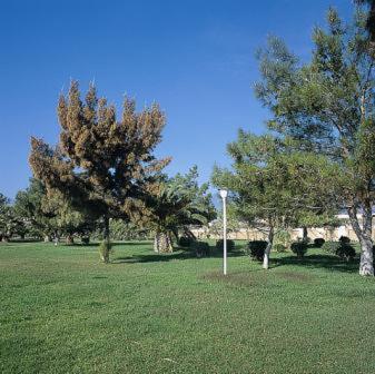 Hotel Nafsika Delphi-itea 3*