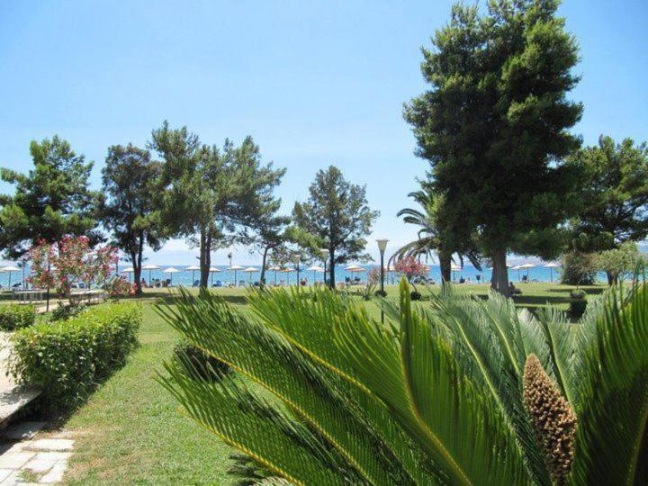 Nafsika Delphi-itea 3* Itea