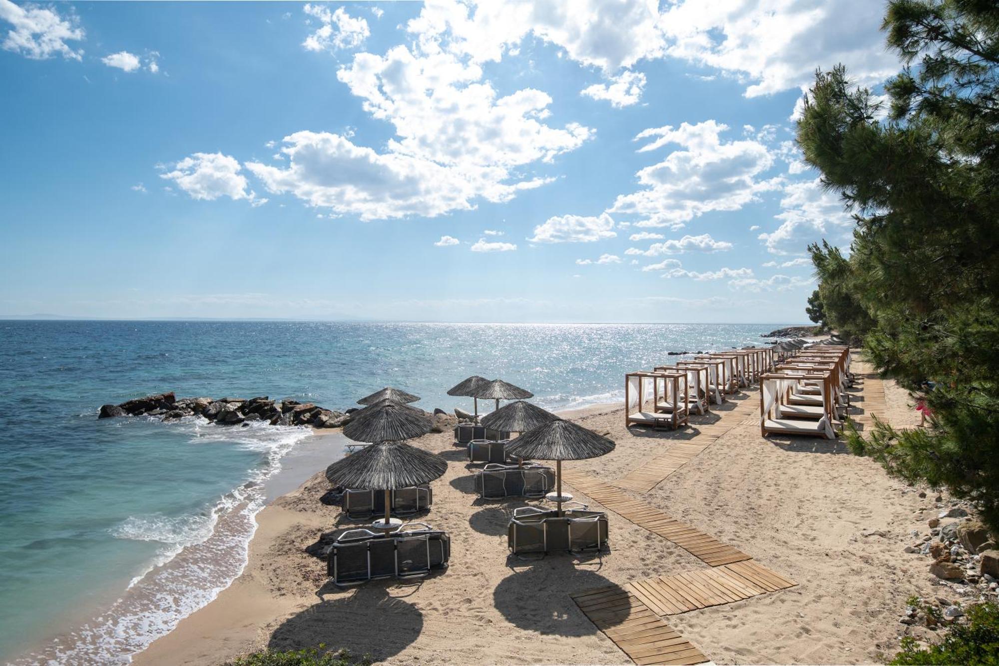 Blue Dolphin Resort