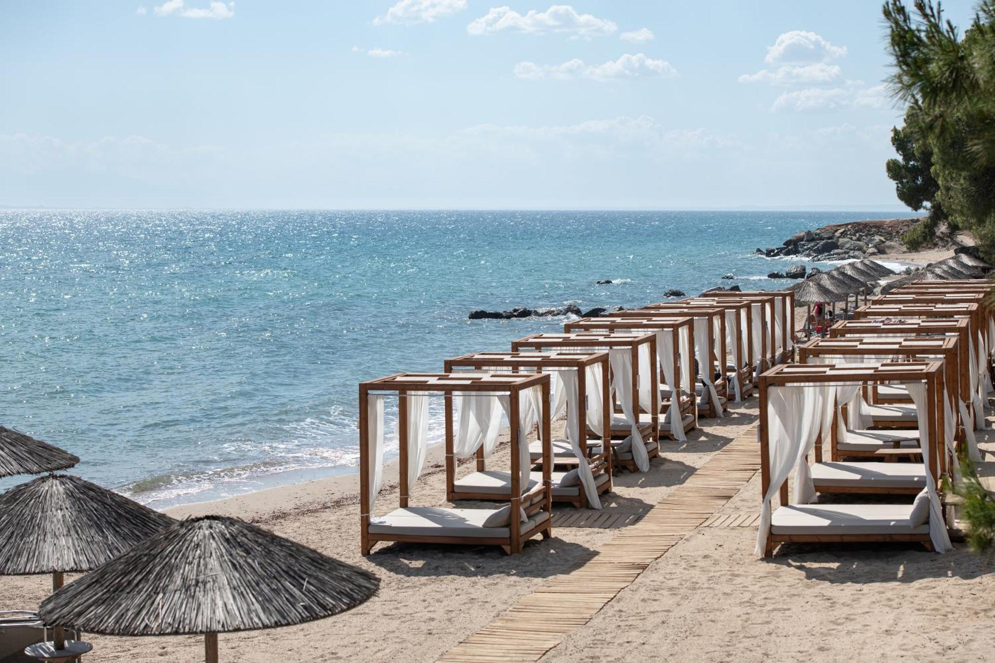 Blue Dolphin 4* Metamorfosi (Sithonia)