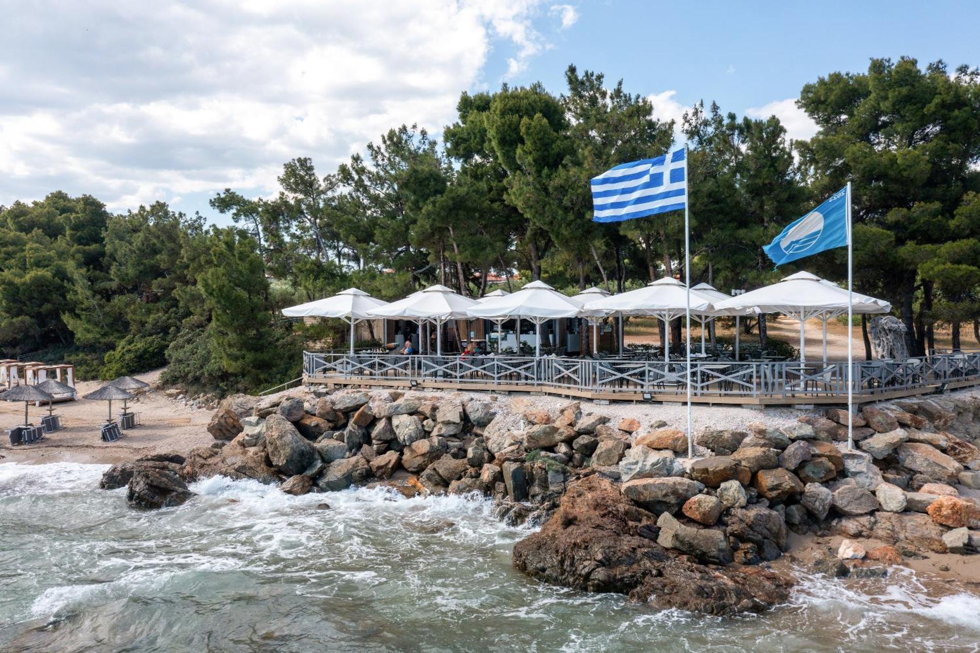 Blue Dolphin 4*