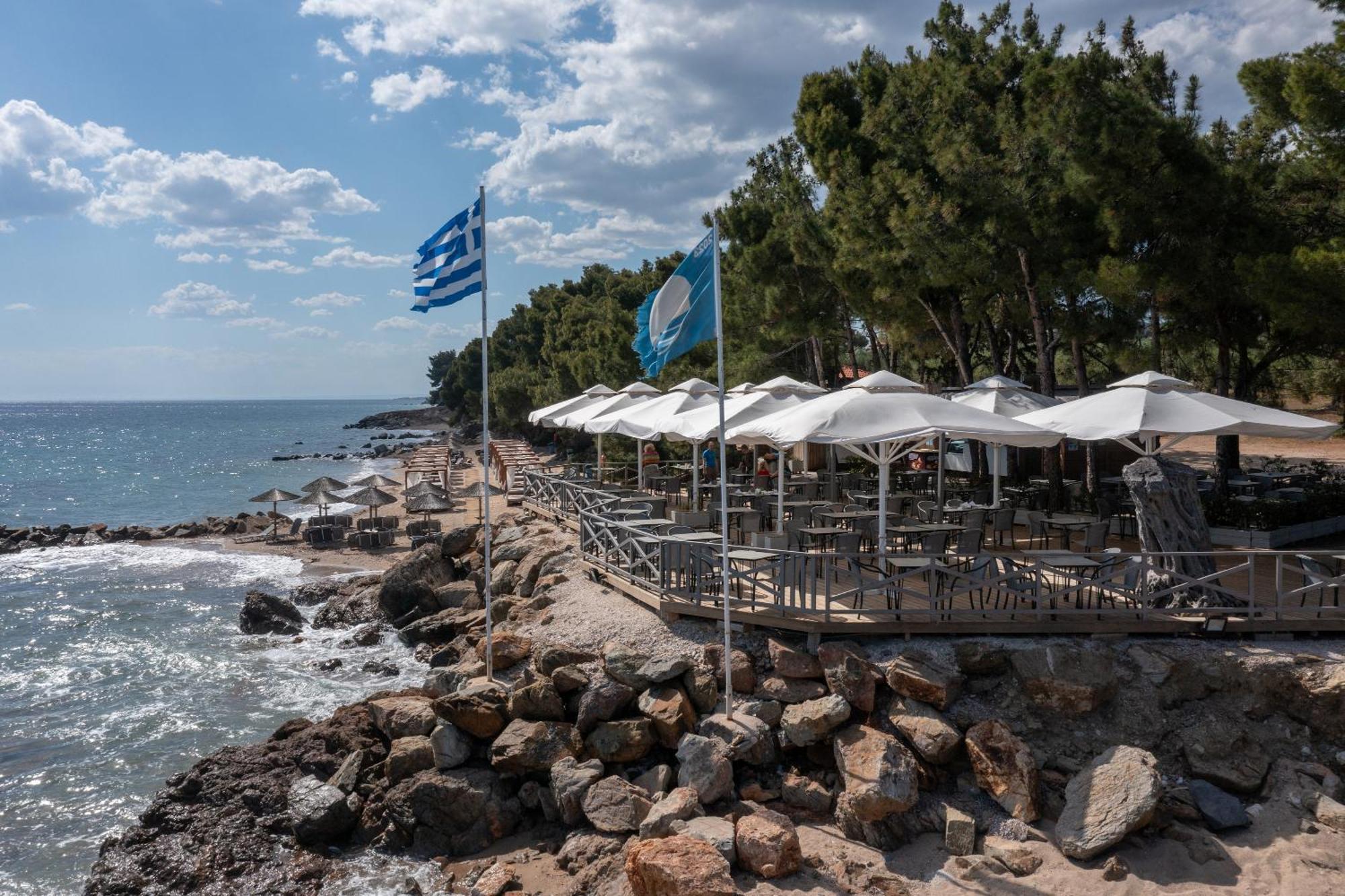 Resort Blue Dolphin
