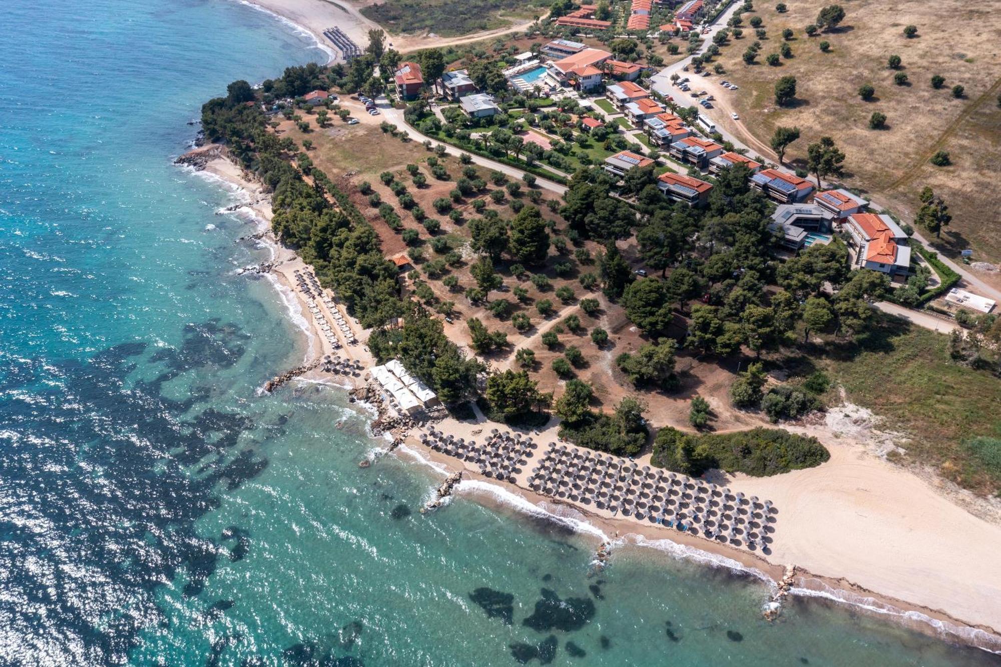 Blue Dolphin 4* Metamorfosi (Sithonia)