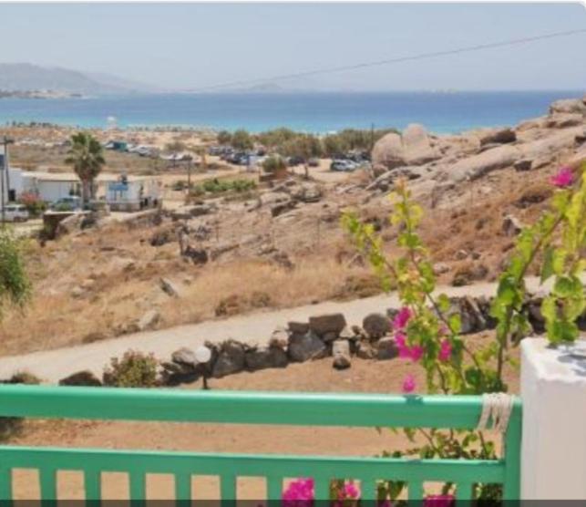 Panoramic View *