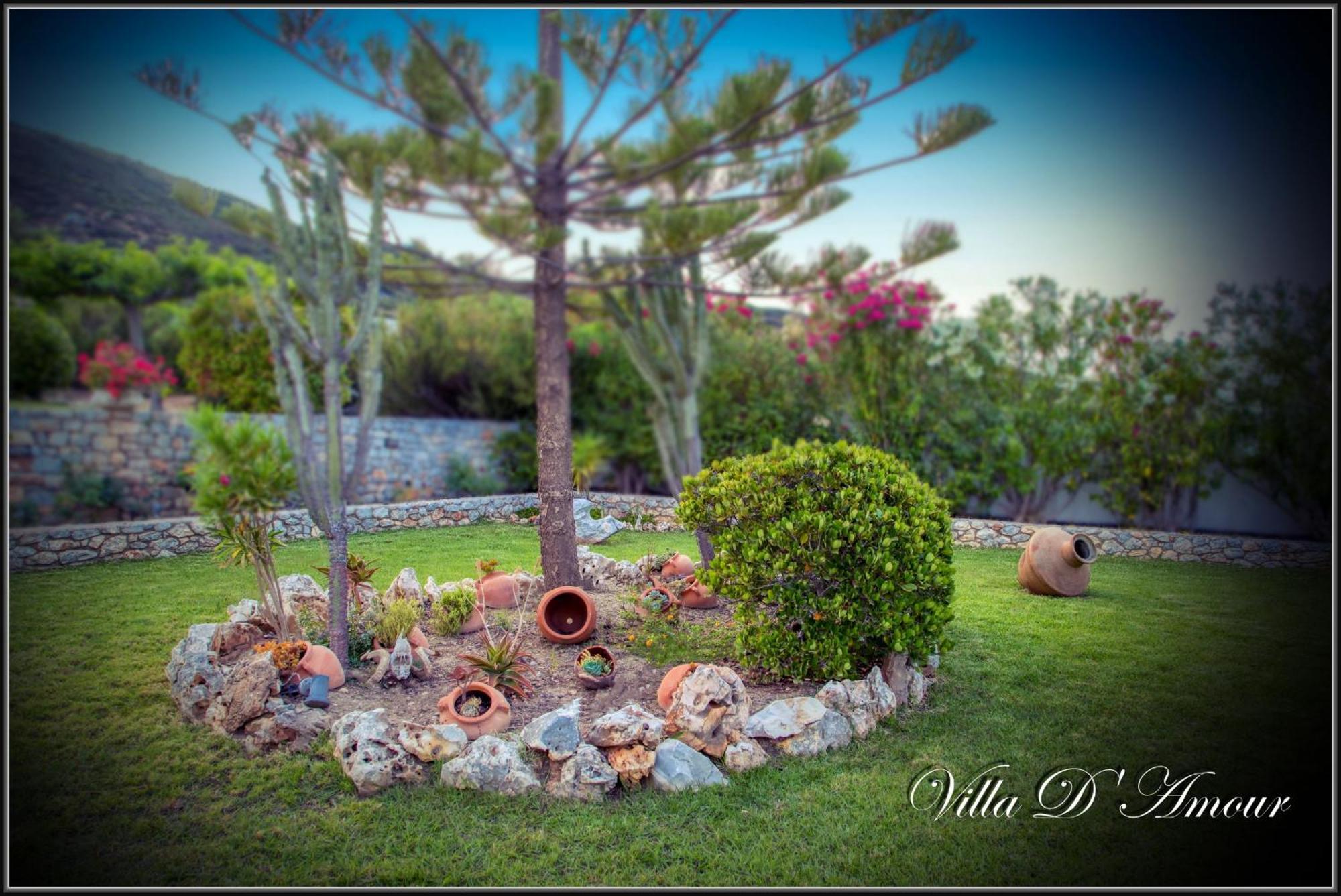 D'amour Skyros