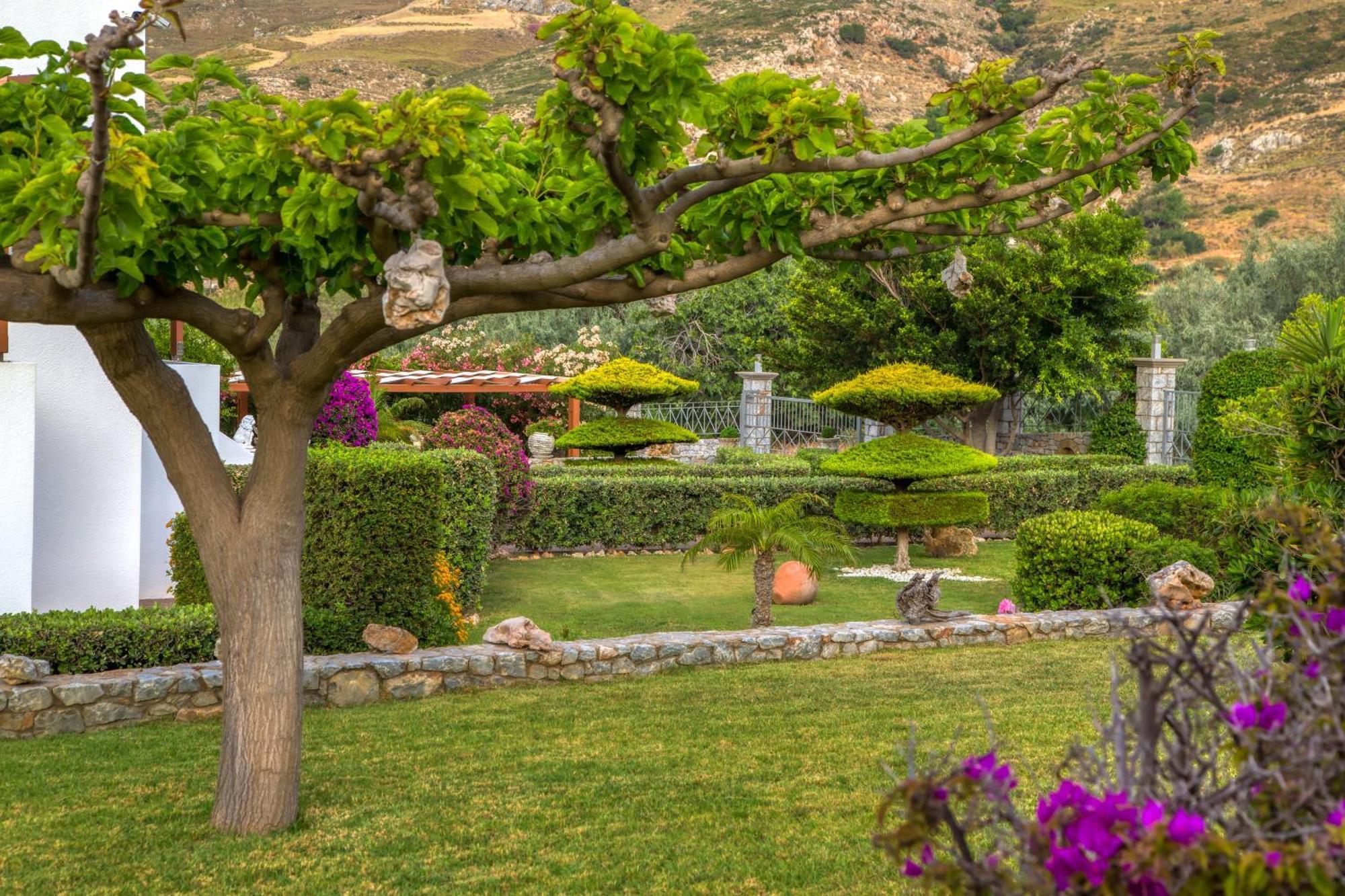 D'amour Villa *