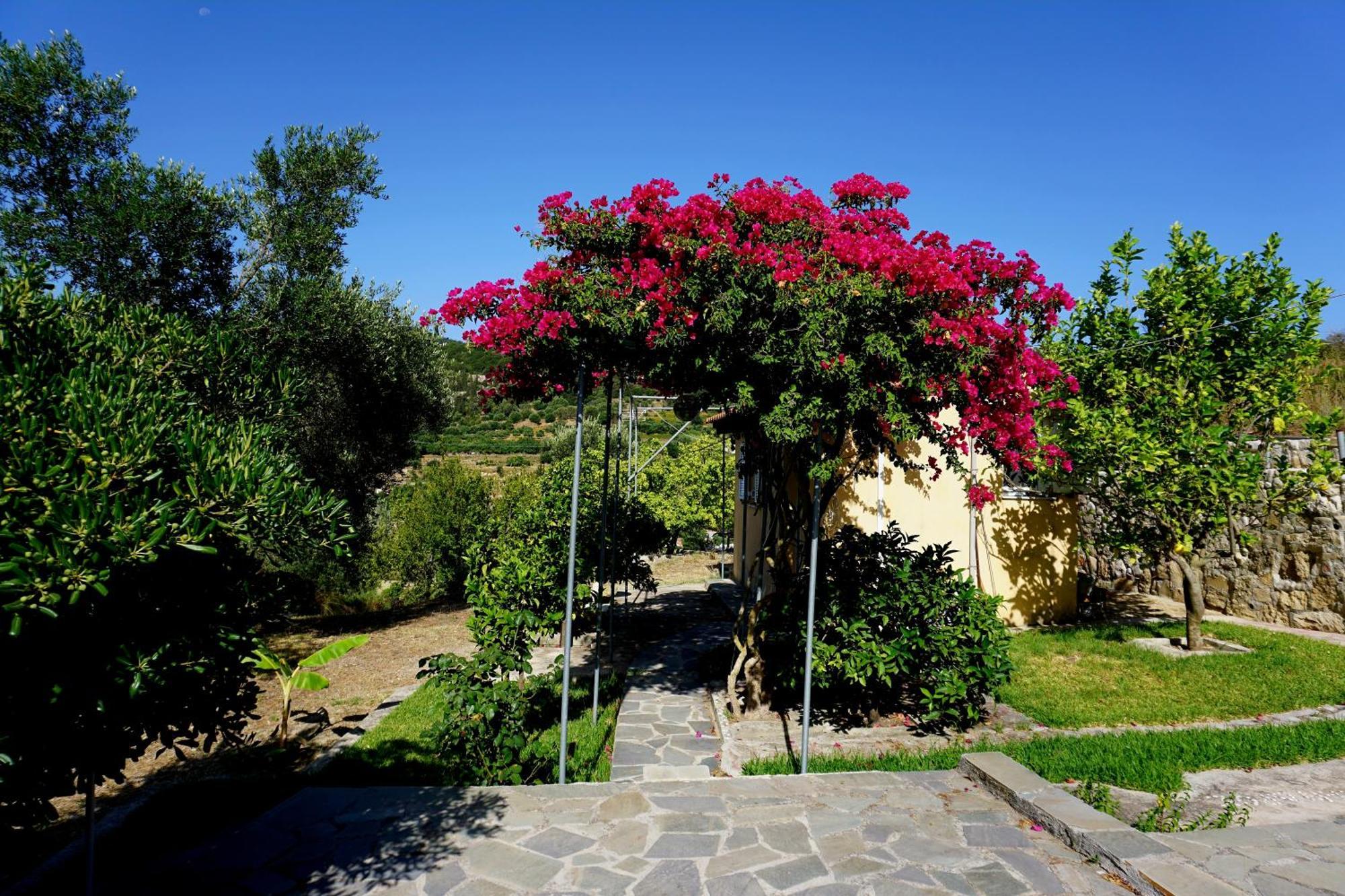 Ionian Overlook Holiday home *