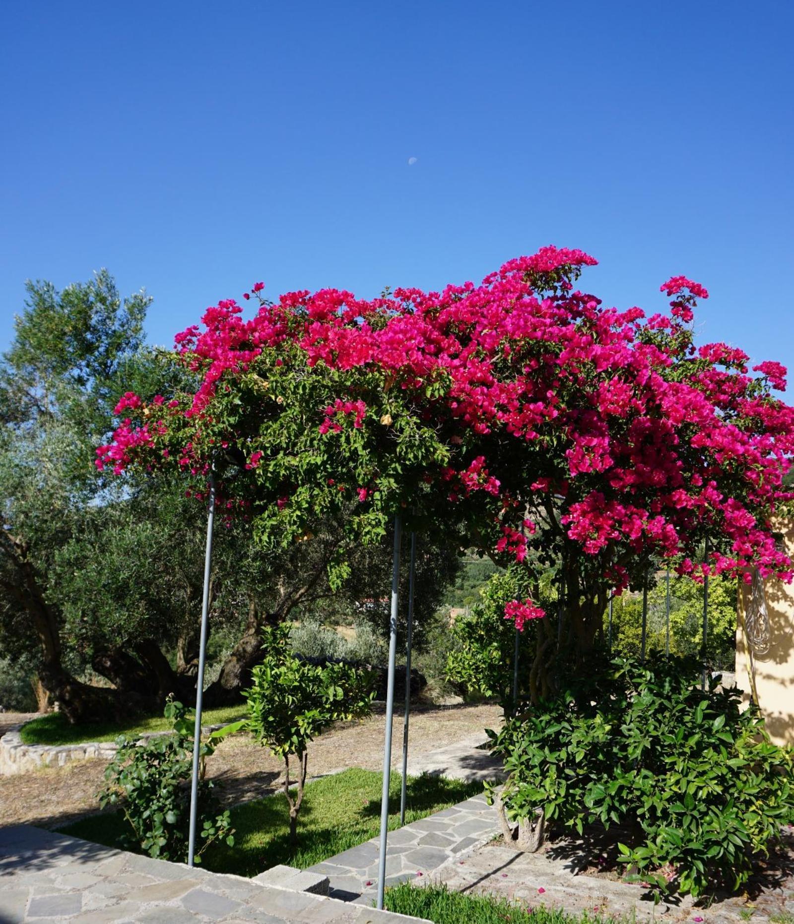 Ionian Overlook Holiday home