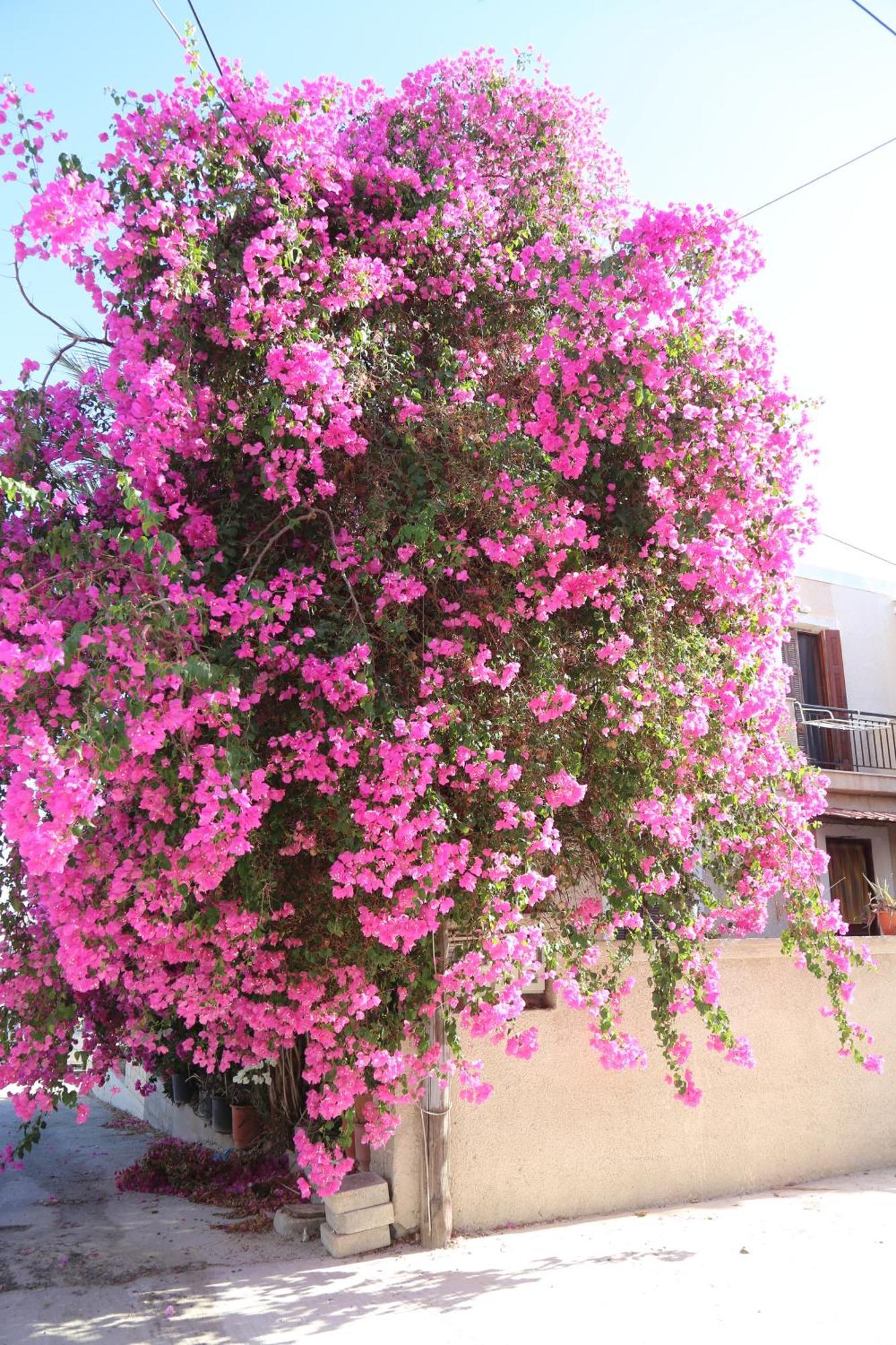 Casasmaragdi Villa *