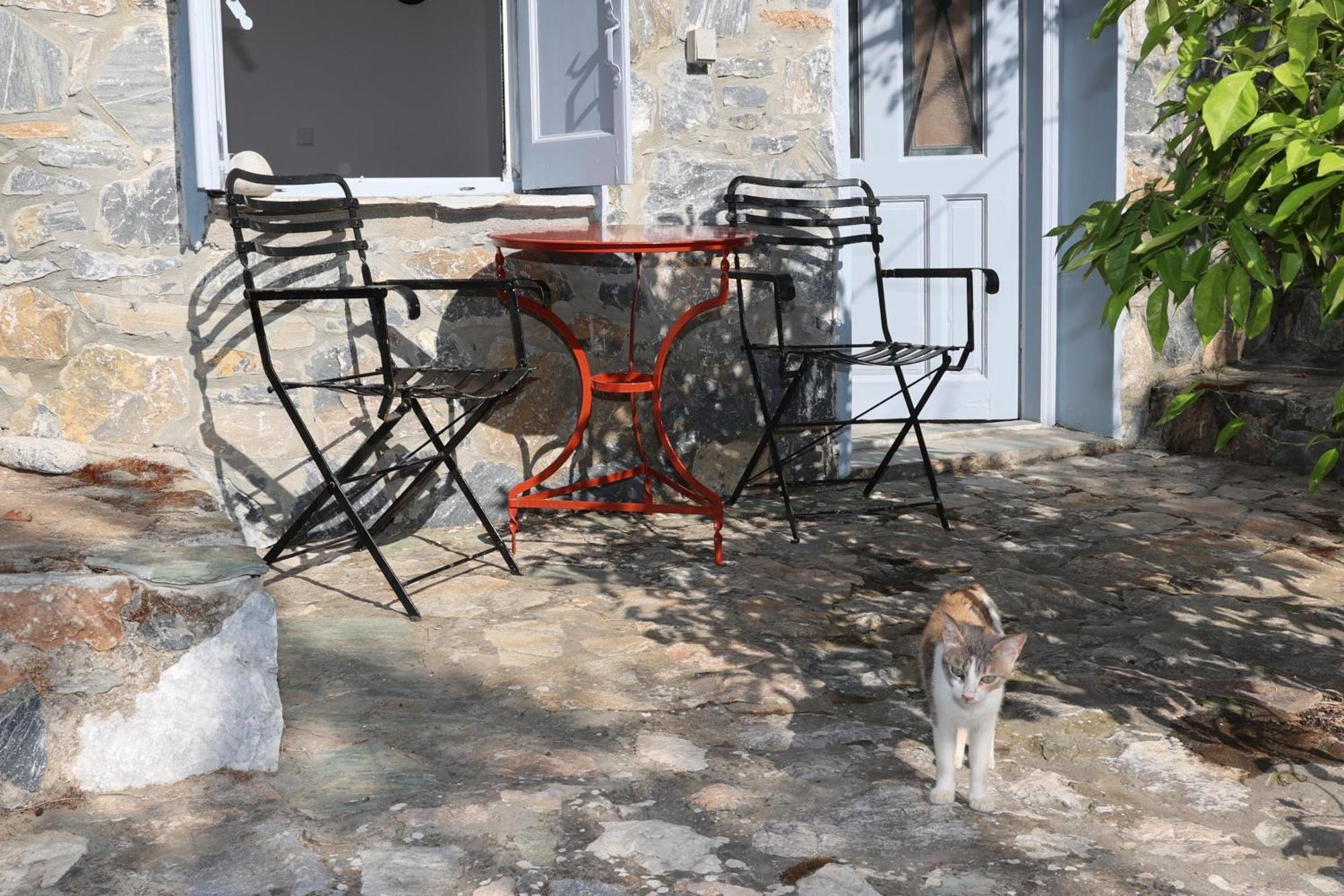 Guest house κόκκινος πύργος