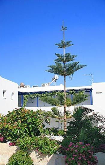 Aparthotel Loukia & Studios