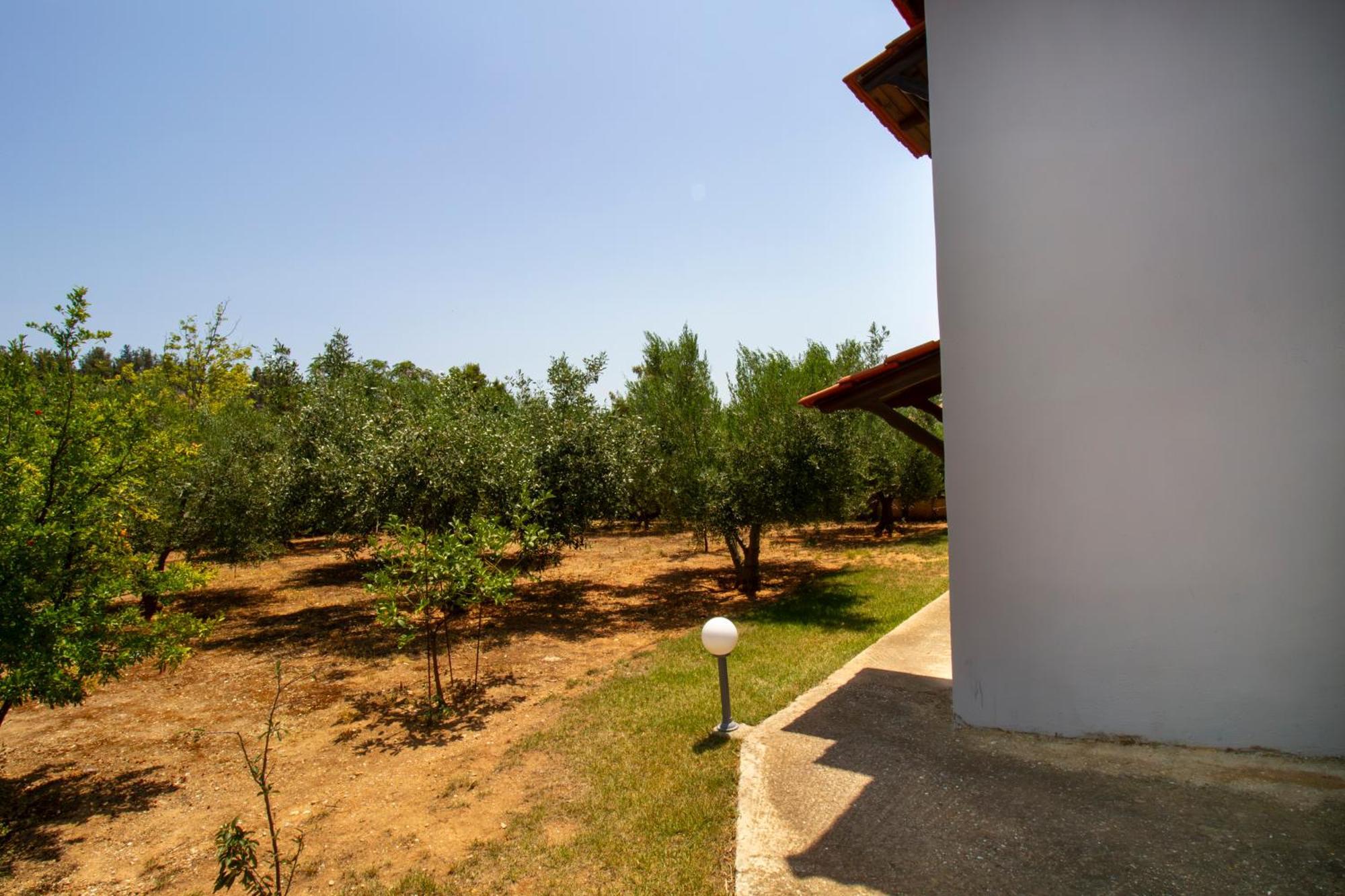 Tanias Seafront Villa-by Rentalspro Services- Halkidiki Villa *