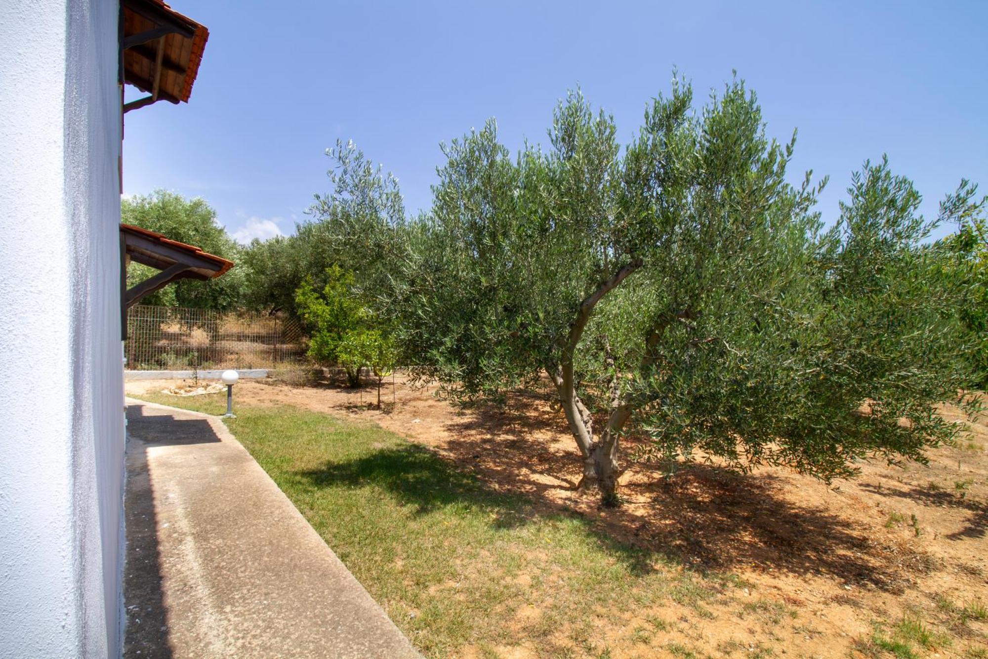 Tanias Seafront Villa-by Rentalspro Services- Halkidiki Nea Poteidaia