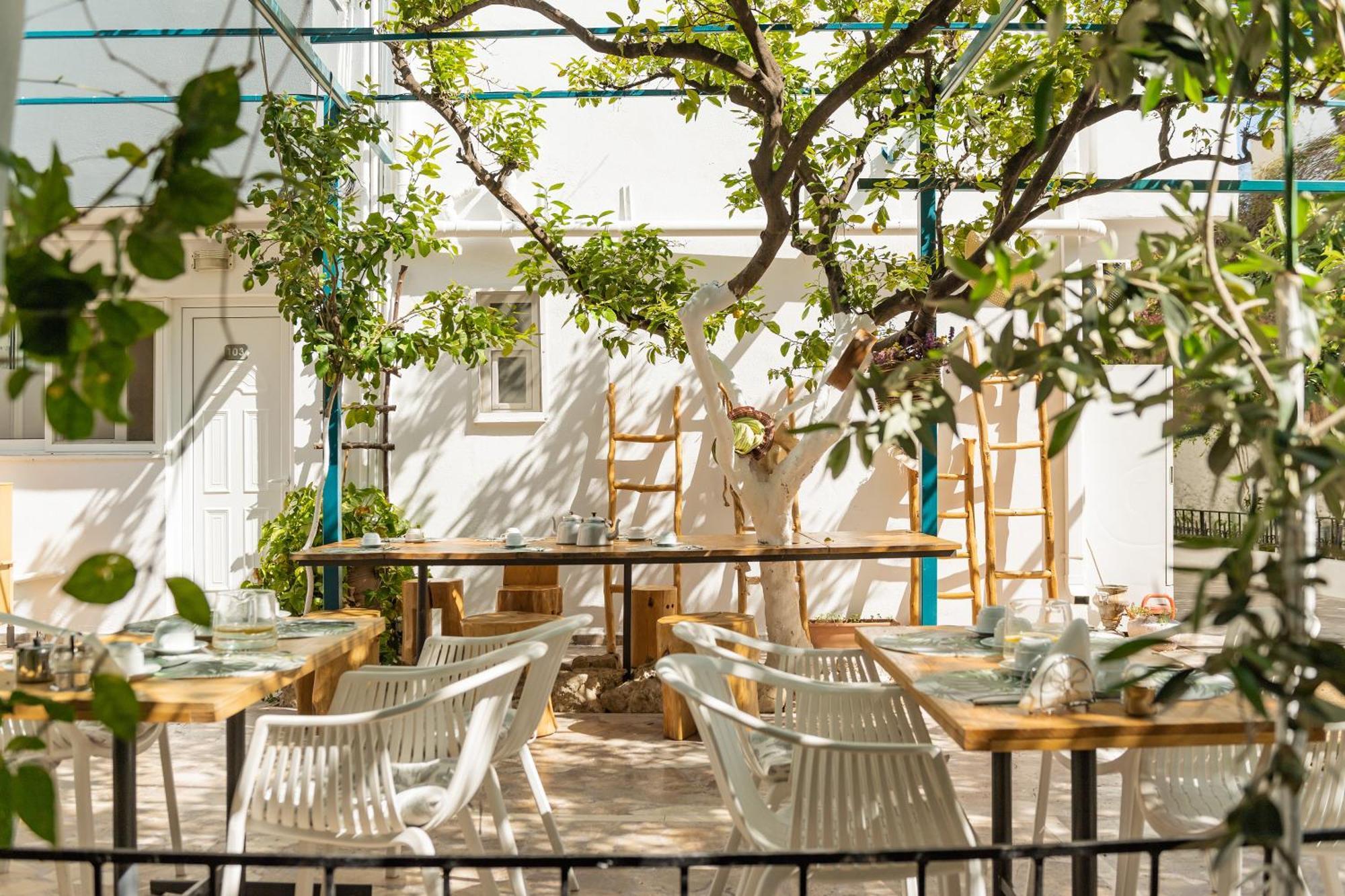 Aparthotel Lefka &