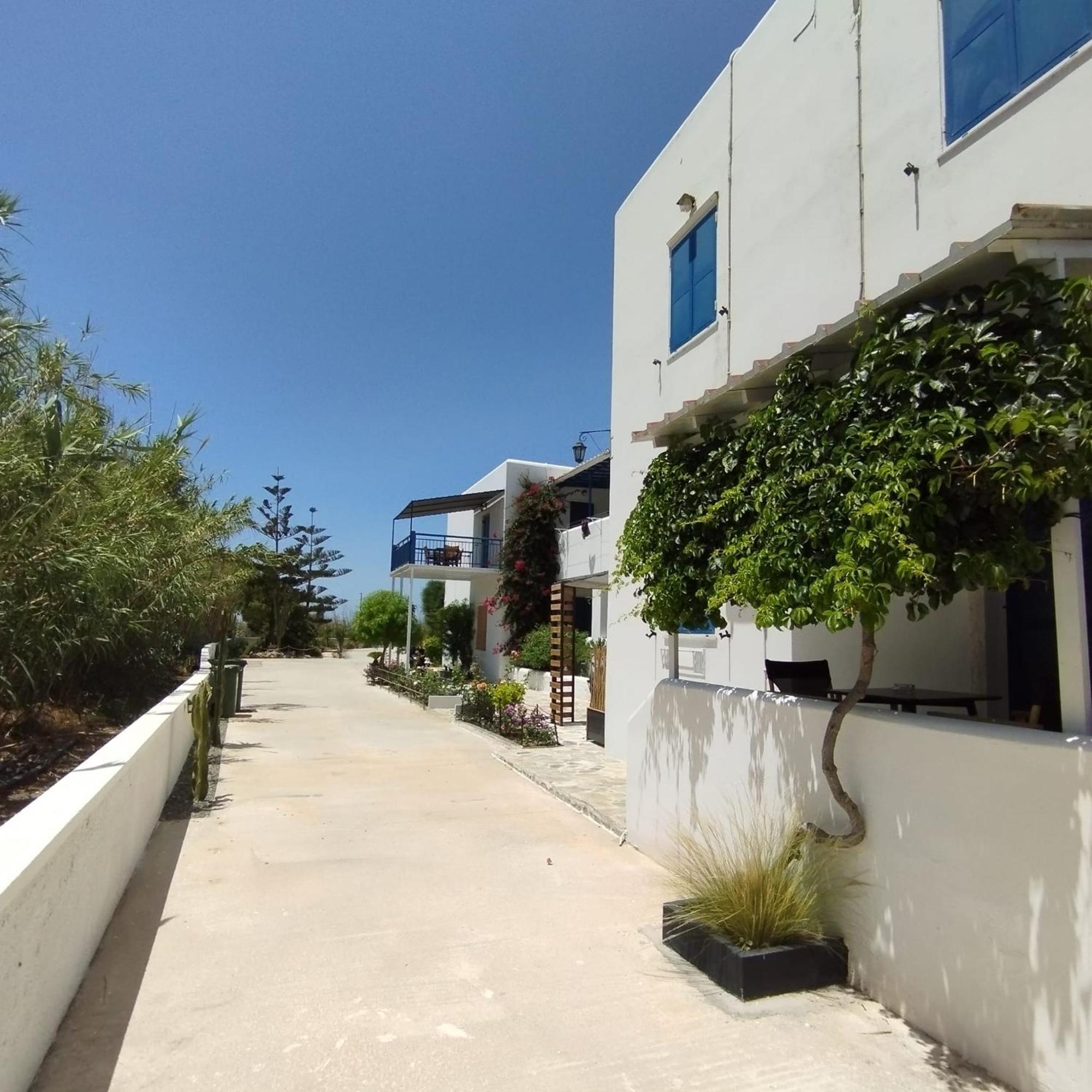 Antonia Apartment