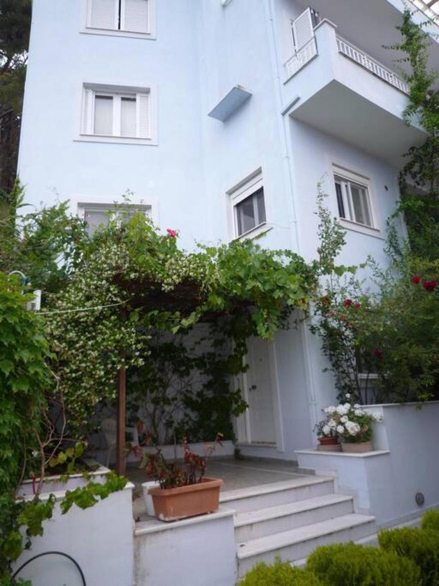 Apartment Seaside In Agia Effimia