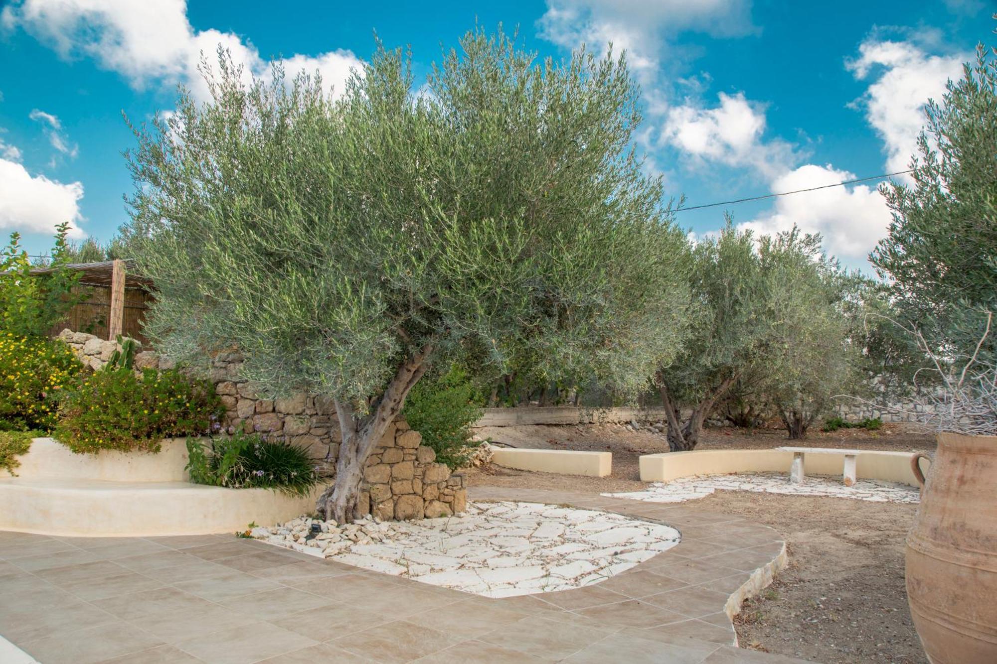 Metohi Sitia Holiday home Piskokefalo