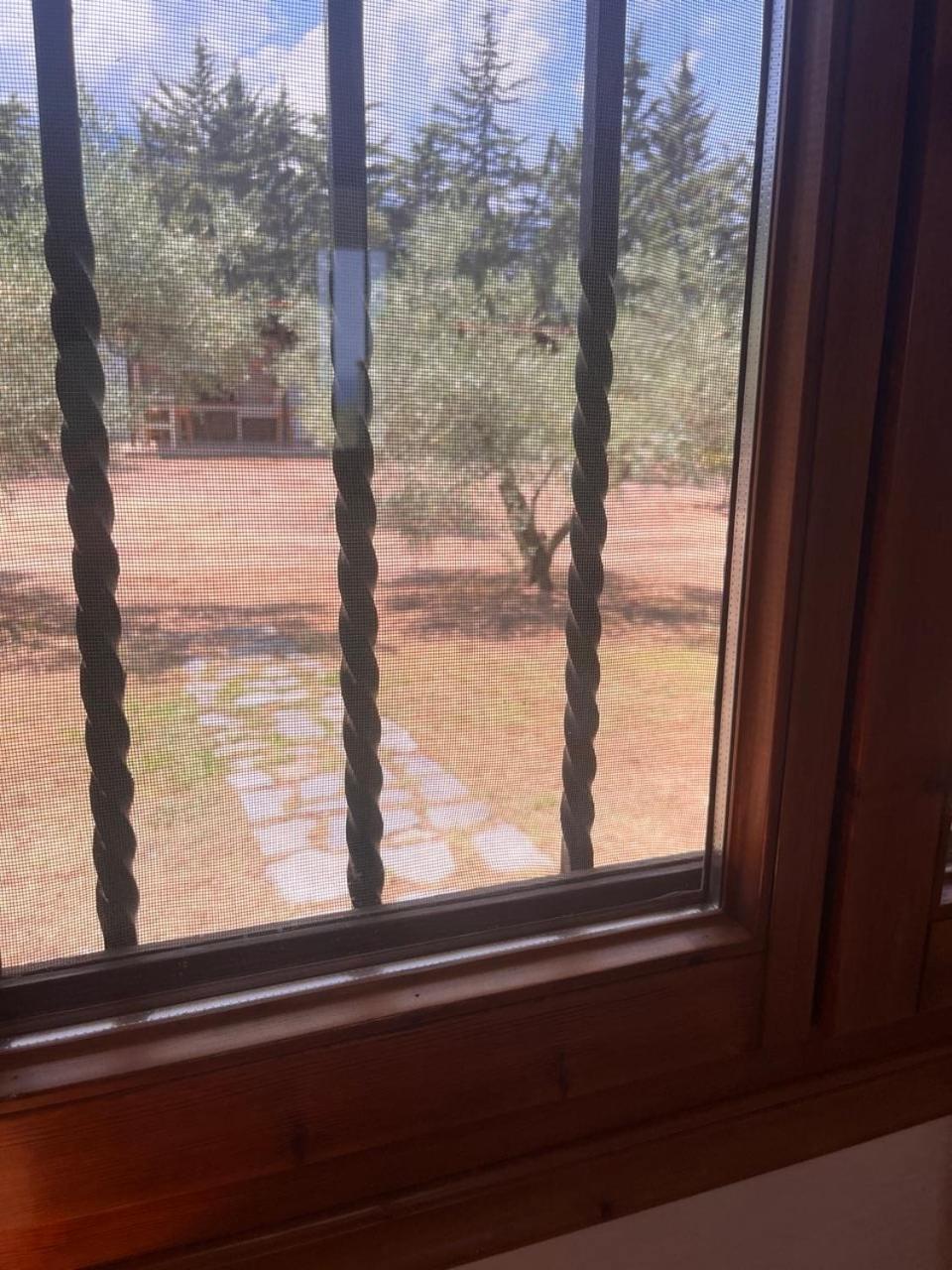 Zeusplace Olympus Olive 1 Holiday home