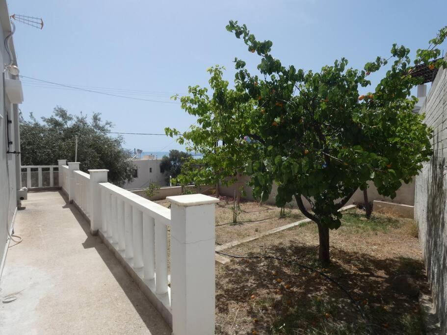 Santina's House Holiday home Posidhonia (Syros)