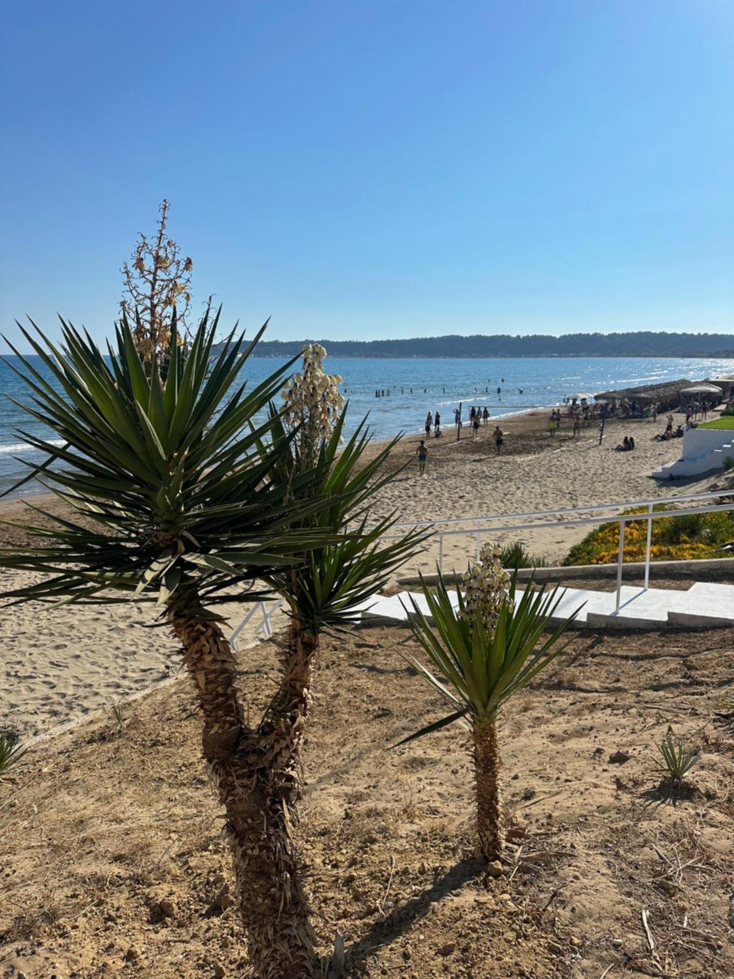 Sea View Theoni Holiday home Katakolo