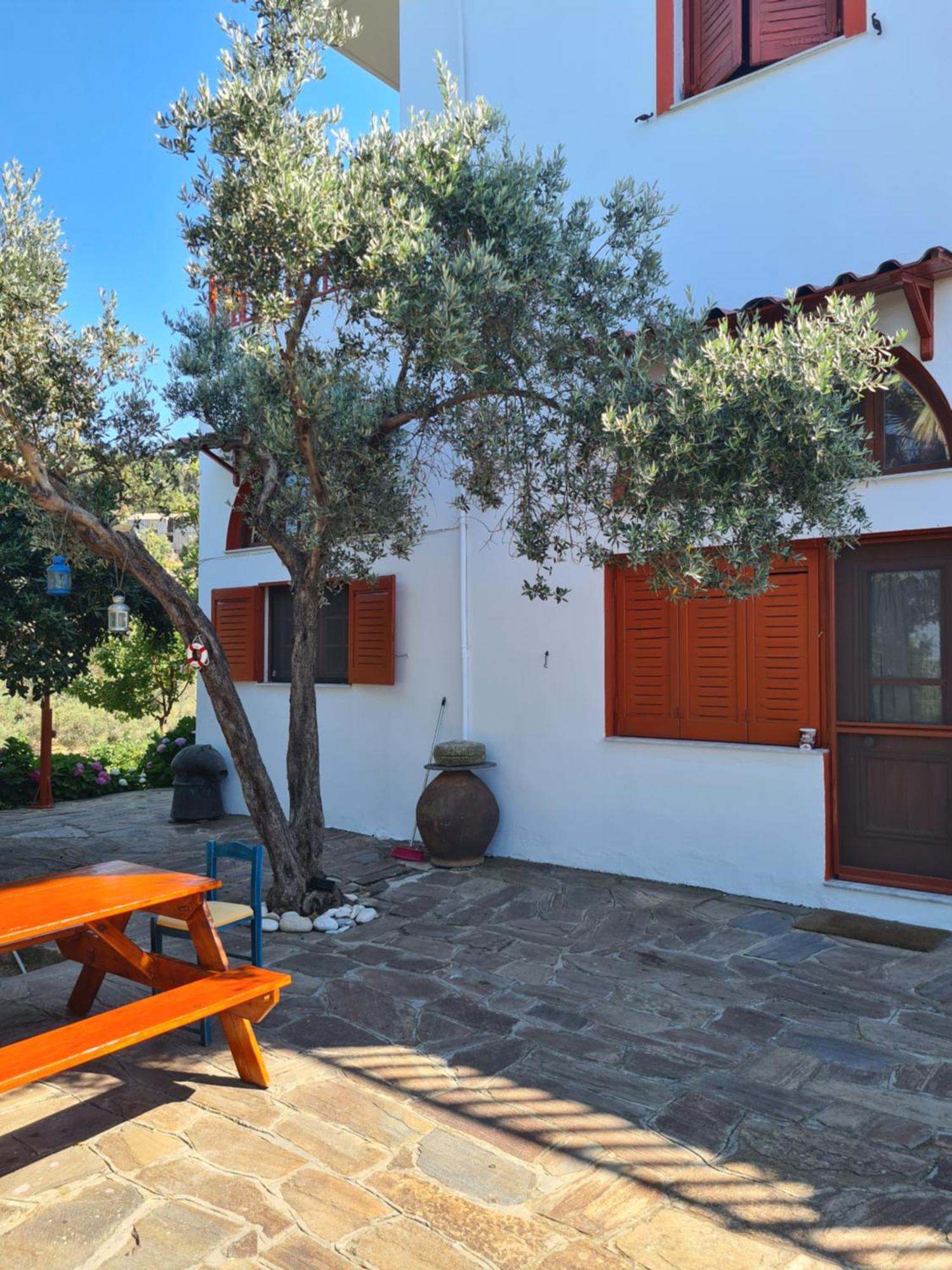 Apartment Spitikariotiko Ikarian
