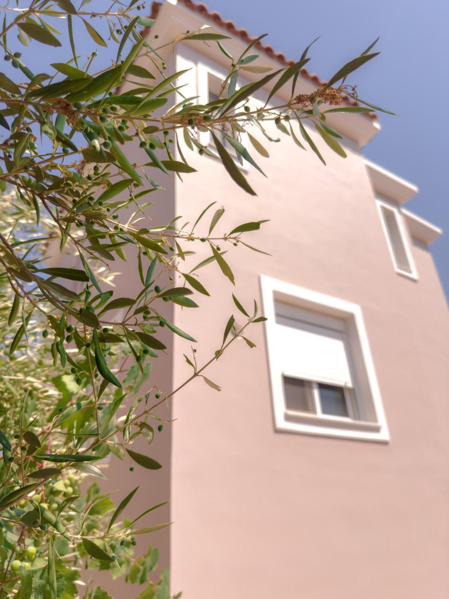 Anastasia's Luxury Basement Apartment Aegina