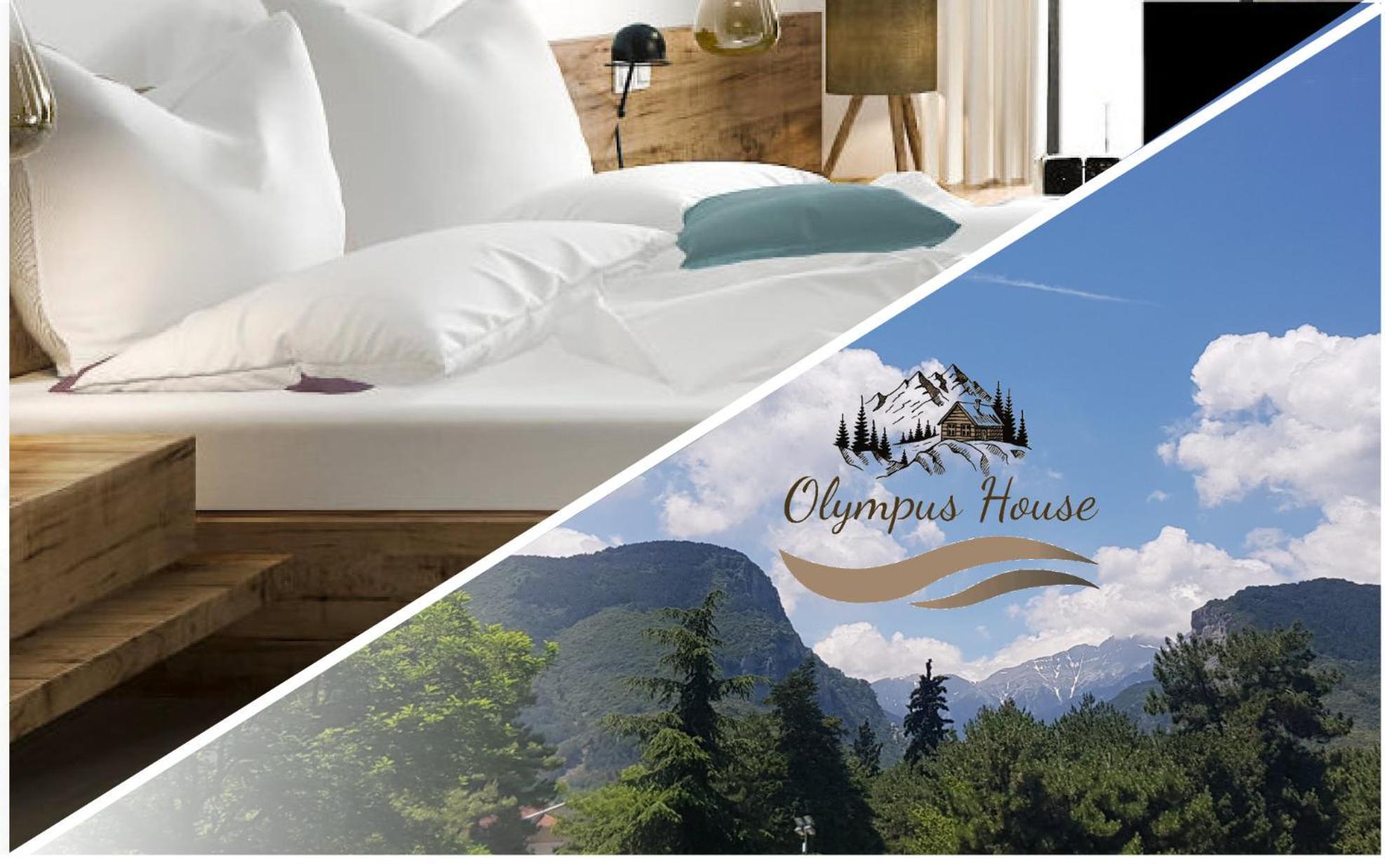 Apartment Olympus House με μοναδική θέα *