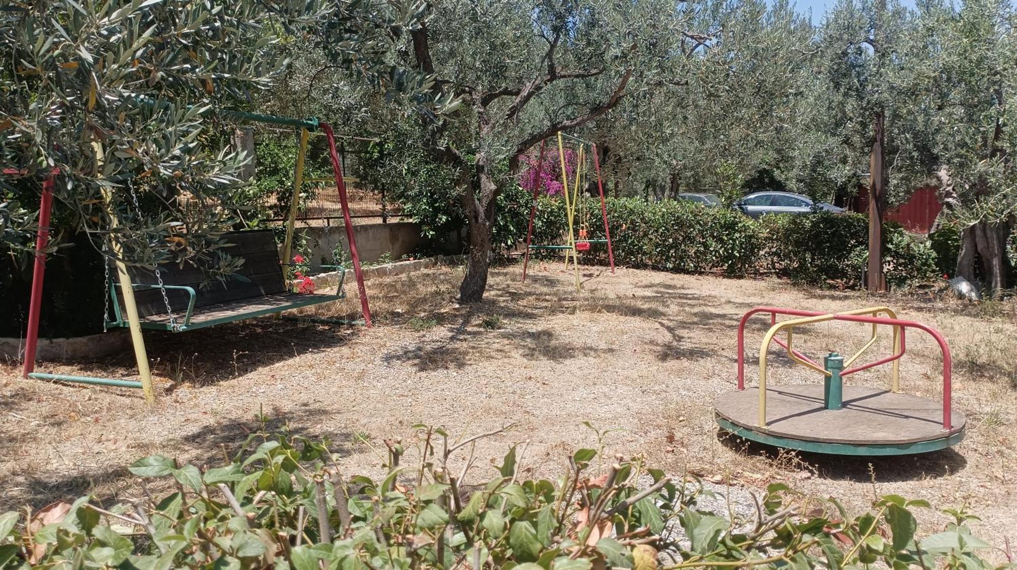 Zaritsi