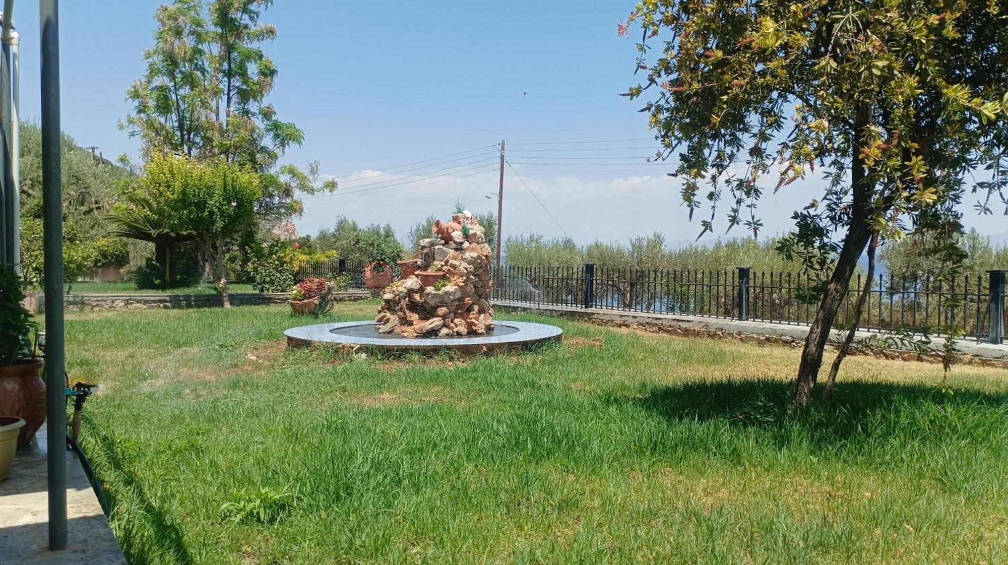 Zaritsi *