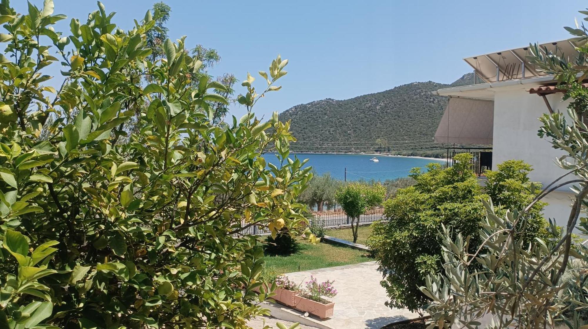 Apartment Zaritsi