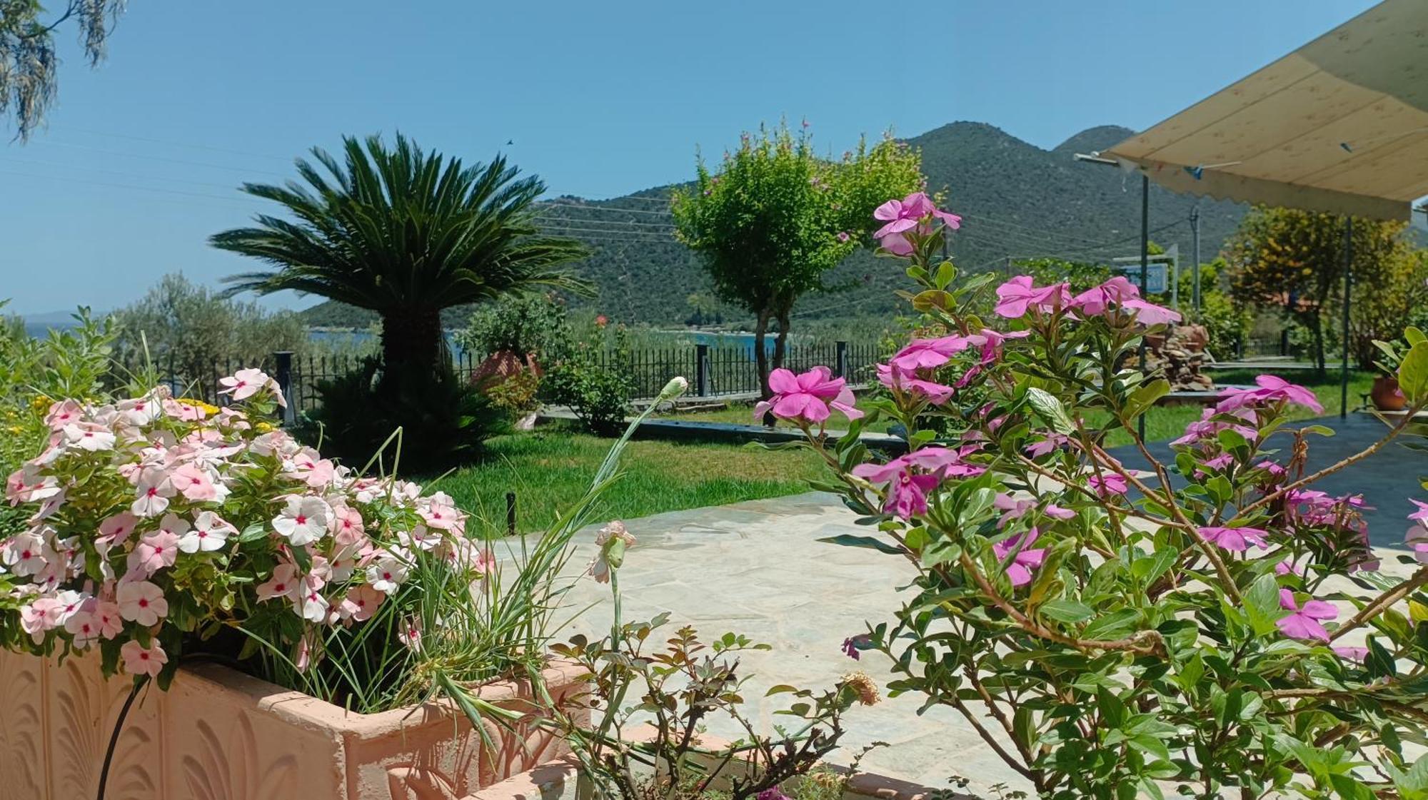 Zaritsi Apartment *