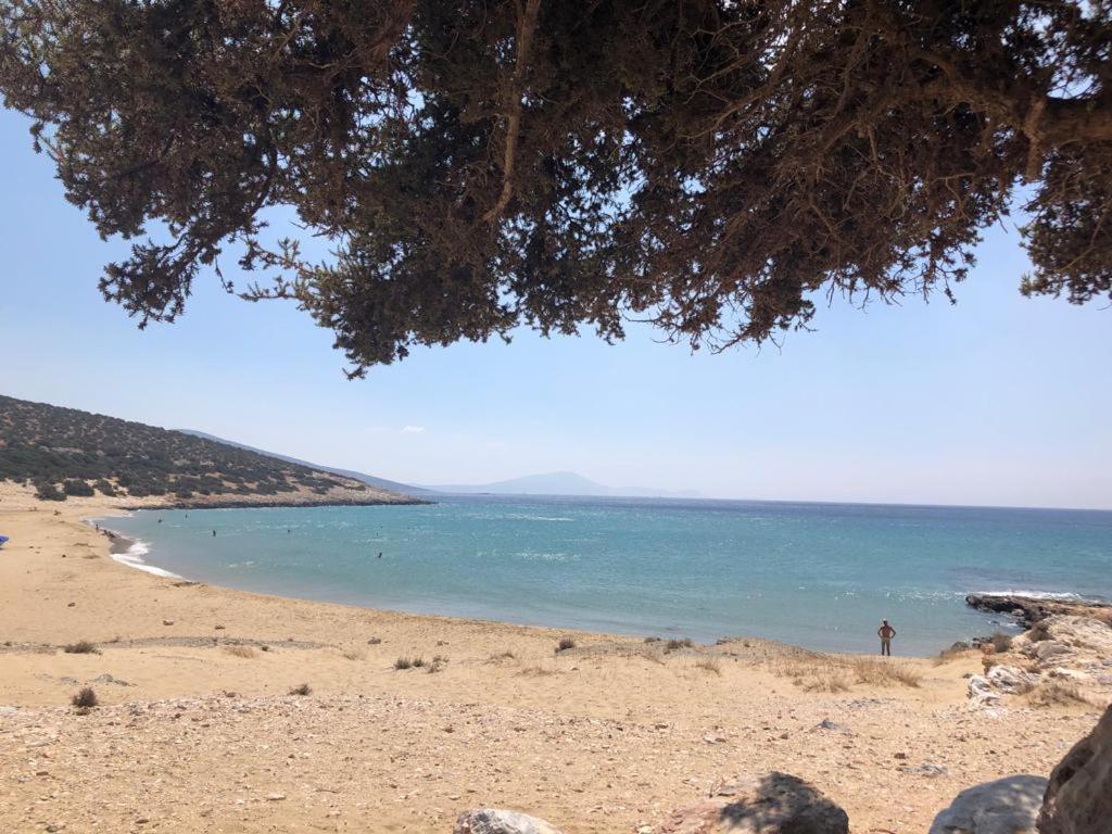 Apartment Haus Asterakia *