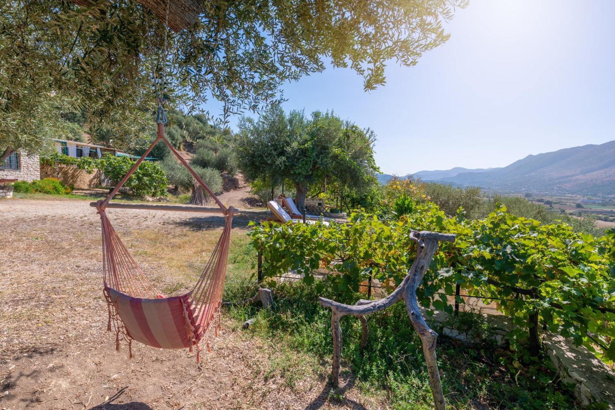 Liodentro - Olea Holiday home *