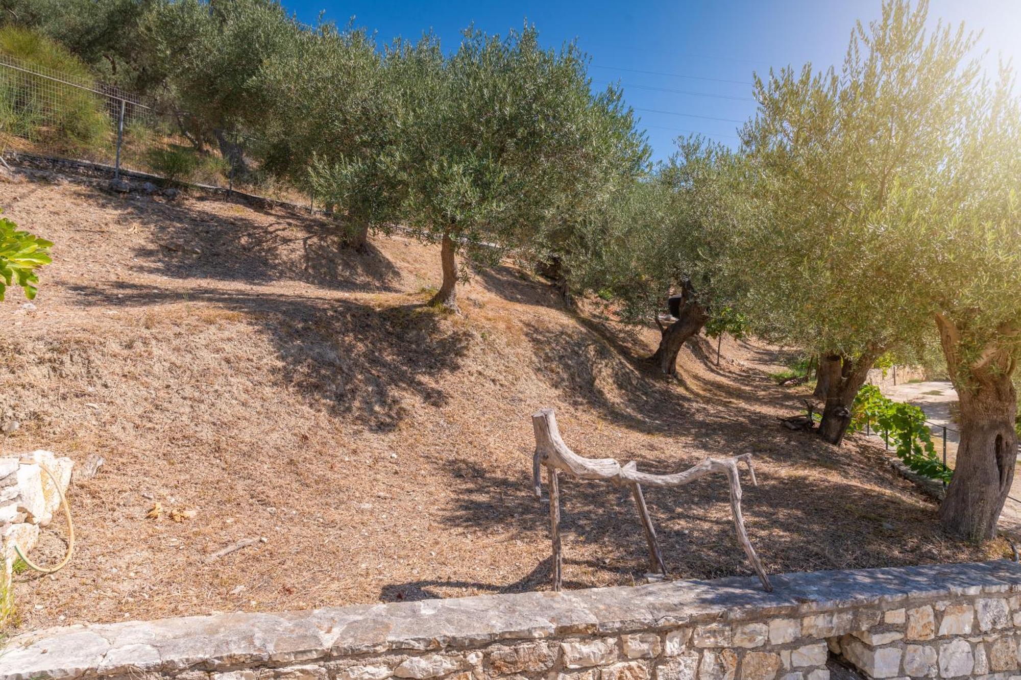 Holiday home Liodentro - Olea *