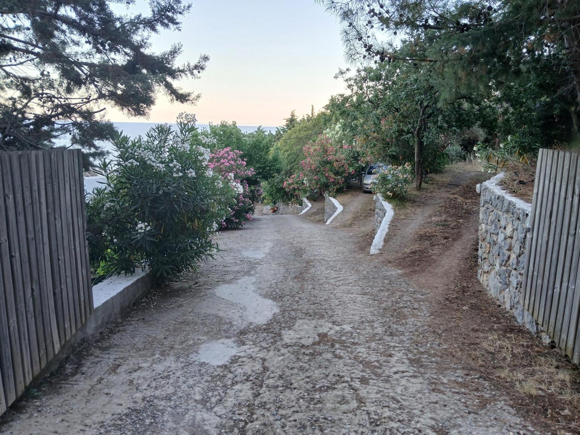 Kapetaniou * Limnionas (Central Greece)